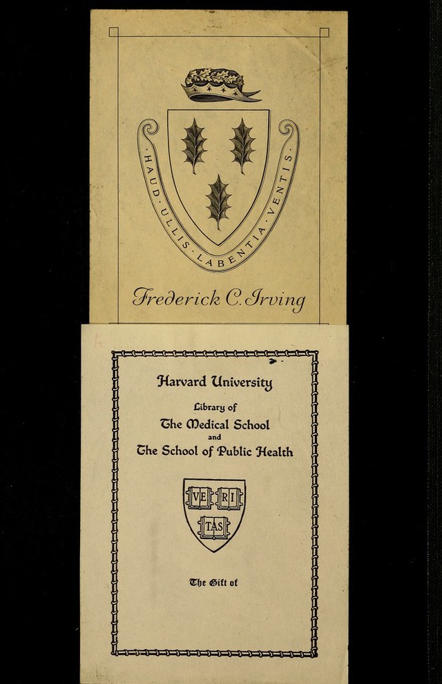 digitised image 2