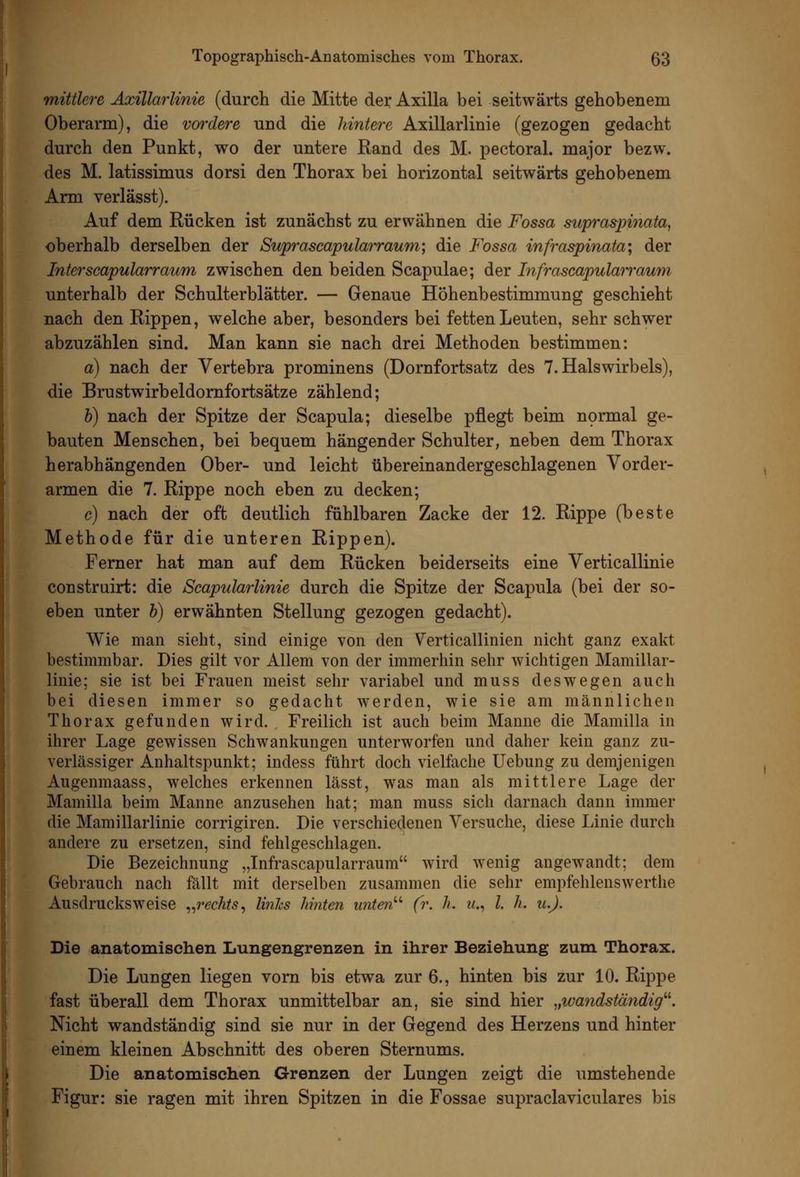 mittlere Axillarlinie (durch die Mitte der Axilla bei seitwärts gehobenem Oberarm), die vordere und die hintere Axillarlinie (gezogen gedacht durch den Punkt, wo der untere Rand des M. pectoral. major bezw. des M. latissimus dorsi den Thorax bei horizontal seitwärts gehobenem Arm verlässt). Auf dem Rücken ist zunächst zu erwähnen die Fossa swpraspinata^ oberhalb derselben der Suprascapularraum\ die Fossa infraspinata; der Interscapularraum zwischen den beiden Scapulae; der Infraseapulairaum unterhalb der Schulterblätter. — Genaue Höhenbestimmung geschieht nach den Rippen, welche aber, besonders bei fetten Leuten, sehr schwer abzuzählen sind. Man kann sie nach drei Methoden bestimmen: a) nach der Vertebra prominens (Dornfortsatz des T.Halswirbels), die Brustwirbeldornfortsätze zählend; h) nach der Spitze der Scapula; dieselbe pflegt beim nprmal ge- bauten Menschen, bei bequem hängender Schulter, neben dem Thorax herabhängenden Ober- und leicht übereinander geschlagenen Vorder- armen die 7. Rippe noch eben zu decken; c) nach der oft deutlich fühlbaren Zacke der 12. Rippe (beste Methode für die unteren Rippen). Ferner hat man auf dem Rücken beiderseits eine Verticallinie construirt: die Scapularlinie durch die Spitze der Scapula (bei der so- eben unter h) erwähnten Stellung gezogen gedacht). Wie man sieht, sind einige von den Verticallinien nicht ganz exakt bestimmbar. Dies gilt vor Allem von der immerhin sehr wichtigen Mamillar- linie; sie ist bei Frauen meist sehr variabel und muss deswegen auch bei diesen immer so gedacht werden, wie sie am männlichen Thorax gefunden wird. Freilich ist auch beim Manne die Mamilla in ihrer Lage gewissen Schwankungen unterworfen und daher kein ganz zu- verlässiger Anhaltspunkt; indess führt doch vielfache Uebung zu demjenigen Augenmaass, welches erkennen lässt, was man als mittlere Lage der Mamilla beim Manne anzusehen hat; man muss sich darnach dann immer die Mamillarlinie corrigiren. Die verschiedenen Versuche, diese Linie durch andere zu ersetzen, sind fehlgeschlagen. Die Bezeichnung „Infrascapularraum wird wenig angewandt; dem Gebrauch nach fällt mit derselben zusammen die sehr empfehlenswerthe Ausdrucksweise ^^rechts^ linhs hinten unten''' fr. h. w., /. h. u.J. Die anatomiscilen Lungengrenzen in ihrer Beziehung zum Thorax. Die Lungen liegen vorn bis etwa zur 6., hinten bis zur 10. Rippe fast überall dem Thorax unmittelbar an, sie sind hier „wandständig^^. Nicht wandständig sind sie nur in der Gegend des Herzens und hinter einem kleinen Abschnitt des oberen Sternums. Die anatomischen Grenzen der Lungen zeigt die umstehende Figur: sie ragen mit ihren Spitzen in die Fossae supraclaviculares bis