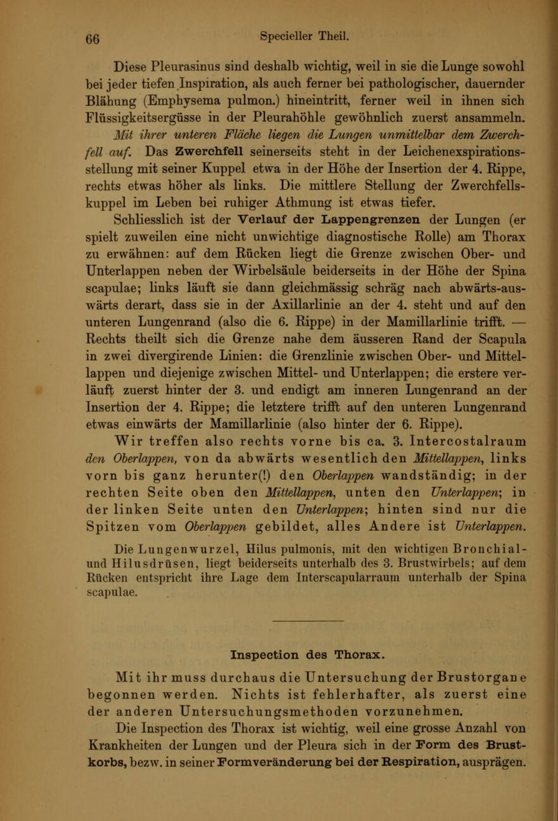 Diese Pleurasinus sind deshalb wichtig, weil in sie die Lunge sowohl bei jeder tiefen Inspiration, als auch ferner bei pathologischer, dauernder Blähung (Emphysema pulmon.) hineintritt, ferner weil in ihnen sich Flüssigkeitsergüsse in der Pleurahöhle gewöhnlich zuerst ansammeln. Mit ihrer unteren Fläche liegen die Lungen unmittelbar dem Zwerch- fell auf. Das Zwerchfell seinerseits steht in der Leichenexspirations- stellung mit seiner Kuppel etwa in der Höhe der Insertion der 4. Rippe, rechts etwas höher als links. Die mittlere Stellung der Zwerchfells- kuppel im Leben bei ruhiger Athmung ist etwas tiefer. Schliesslich ist der Verlauf der Lappengrenzen der Lungen (er spielt zuweilen eine nicht unwichtige diagnostische Rolle) am Thorax zu erwähnen: auf dem Rücken liegt die Grenze zwischen Ober- und Unterlappen neben der Wirbelsäule beiderseits in der Höhe der Spina scapulae; links läuft sie dann gleichmässig schräg nach abwärts-aus- wärts derart, dass sie in der Axillarlinie an der 4. steht und auf den unteren Lungenrand (also die 6. Rippe) in der Mamillarlinie trifft. — Rechts theilt sich die Grenze nahe dem äusseren Rand der Scapula in zwei divergirende Linien: die Grenzlinie zwischen Ober- und Mittel- lappen und diejenige zwischen Mittel- und Unterlappen; die erstere ver- läuft zuerst hinter der 3. und endigt am inneren Lungenrand an der Insertion der 4. Rippe; die letztere trifft auf den unteren Lungenrand etwas einwärts der Mamillarlinie (also hinter der 6. Rippe). Wir treffen also rechts vorne bis ca. 3. Intercostalraum den Oberlappen, von da abwärts wesentlich den Mittellappen^ links vorn bis ganz herunter(!) den Oberlajopen wandständig; in der rechten Seite oben den Mittellappen, unten den Unterlappen; in der linken Seite unten den ünterlappen; hinten sind nur die Spitzen vom Oberlappen gebildet, alles Andere ist ünterlappen. Die Lungenwurzel, Hilus pulmonis, mit den wichtigen Bronchial- und Hilusdrüsen, liegt beiderseits unterhalb des 3. Brustwirbels; auf dem Rücken entspricht ihre Lage dem Interscapularraum unterhalb der Spina scapulae. Inspection des Thorax. Mit ihr muss durchaus die Untersuchung der Brustorgane begonnen werden. Nichts ist fehlerhafter, als zuerst eine der anderen Untersuchungsmethoden vorzunehmen. Die Inspection des Thorax ist wichtig, weil eine grosse Anzahl von Krankheiten der Lungen und der Pleura sich in der Form des Brust- korbs, bezw. in seiner Formveränderung bei der Respiration, ausprägen.