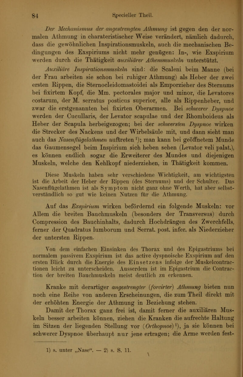 Der Mechanismus der angesti'engten Athmung ist gegen den der nor- malen Athmung in charateristischer Weise verändert, nämlich dadurch, dass die gewöhnlichen Inspirationsmuskeln, auch die mechanischen Be- dingungen des Exspiriums nicht mehr genügen: In-, wie Exspirium werden durch die Thätigkeit auxiliärer Athemmuskeln unterstützt. Auxiliäre Inspirationsmuskeln sind: die Scaleni beim Manne (bei der Frau arbeiten sie schon bei ruhiger Athmung) als Heber der zwei ersten Rippen, die Sternocleidomastoidei als Emporzieher des Sternums bei fixirtem Kopf, die Mm. pectorales major und minor, die Levatores costarum, der M. serratus posticus superior, alle als Rippenheber, und zwar die erstgenannten bei fixirten Oberarmen. Bei schwerer Dyspnoe werden der Cucullaris, der Levator scapulae und der Rhomboideus als Heber der Scapula herbeigezogen; bei der schiversten Dyspnoe wirken die Strecker des Nackens und der Wirbelsäule mit, und dann sieht man auch das Nasenflügelathmen auftreten i); man kann bei geöffnetem Munde das Gaumensegel beim Inspirium sich heben sehen (Levator veli palat.), es können endlich sogar die Erweiterer des Mundes und diejenigen Muskeln, welche den Kehlkopf niederziehen, in Thätigkeit kommen. Diese Muskeln haben sehr verschiedene Wichtiglieit, am wichtigsten ist die Arbeit der Heber der Rippen (des Sternums) und der Schulter. Das Nasenflügelathmen ist als Symptom nicht ganz ohne Werth, hat aber selbst- verständlich so gut wie keinen Nutzen für die Athmung. Auf das Exspirium wirken befördernd ein folgende Muskeln: vor Allem die breiten Bauchmuskeln (besonders der Transversus) durch Compression des Bauchinhalts^ dadurch Hochdrängen des Zwerchfells, ferner der Quadratus lumborum und Serrat. post. infer. als Mederzieher der untersten Rippen. Von dem einfachen Einsinken des Thorax und des Epigastriums bei normalem passivem Exspirium ist das active dyspnoische Exspirium auf den ersten Blick durch die Energie des Einsetzens infolge der Muskelcontrac- tionen leicht zu unterscheiden. Ausserdem ist im Epigastrium die Contrac- tion der breiten Bauchmuskeln meist deutlich zu erkennen. Kranke mit derartiger angestrengter (foi'cirter) Athmung bieten nun noch eine Reihe von anderen Erscheinungen, die zum Theil direkt mit der erhöhten Energie der Athmung in Beziehung stehen. Damit der Thorax ganz frei ist, damit ferner die auxiliären Mus- keln besser arbeiten können, ziehen die Kranken die aufrechte Haltung im Sitzen der liegenden Stellung vor {Orthopnoe)'^), ja sie können bei schwerer Dyspnoe überhaupt nur jene ertragen; die Arme werden fest- 1) s. unter „Nase. — 2) s. S. 11.