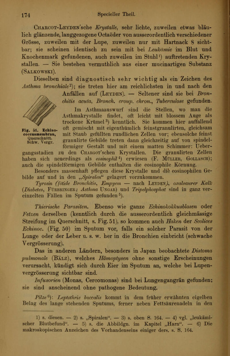 CHARCOT-LEYDEN'sche Krystülle, sehr lichte, zuweilen etwas bläu- lich glänzende, langgezogene Octaeder von ausserordentlich verschiedener Grösse, zuweilen mit der Lupe, zuweilen nur mit Hartnack 8 sicht- bar; sie scheinen identisch zu sein mit bei Leukämie im Blut und Knochenmark gefundenen, auch zuweilen im Stuhl *) auftretenden Kry- stallen. — Sie bestehen vermuthlich aus einer mucinartigen Substanz (Salkowski). Dieselben sind diagnostisch sehr wichtig als ein Zeichen des Asthma hronchiale^)\ sie treten hier am reichlichsten in und nach den Anfällen auf (Leyden). — Seltener sind sie bei Bron- chitis acuta, Bronch. croup. chron., Tuhe^'culose gefunden. Im Asthmaauswurf sind die Stellen, wo man die Asthmakrystalle findet, oft leicht mit blossem Auge als trockene Krümel^) kenntlich. Sie kommen hier auffallend Fig. 51. Echino- ^^^ gemischt mit eigenthümlich feinstgranulirten, gleichsam coccusmembran, mit Staub gefüllten rundlichen Zellen vor; ebensolche feinst Schw!^Vergr. granulirte Gebilde treten dann gleichzeitig auf von spindel- förmiger Gestalt und mit einem matten Schimmer: Ueber- gangsstadien zu den CHARGOT'schen Krystallen. Die granulirten Zellen haben sich neuerdings als eosinophil^) erwiesen (F. Müller, Gollasch); auch die spindelförmigen Gebilde enthalten die eosinophile Körnung. Besonders massenhaft pflegen diese Krystalle und die eosinophilen Ge- bilde auf und in den ^^Spiralen gelagert vorzukommen. Tyrosin (fötide Bronchitis^ Empyem — nach LeydenJ, oxalsaurer Kalk {Diabetes, Fürbringer; Asthma Ungar) und Tripelphosphat sind in ganz ver- einzelten Fällen im Sputum gefunden^). Thierische Parasiten. Ebenso wie ganze Echinokokkusblasen oder Fetzen derselben (kenntlich durch die ausserordentlich gleichmassige Streifung im Querschnitt, s. Fig. 51), so kommen auch Haken der Scolices Echinoc. (Fig. 50) im Sputum vor, falls ein solcher Parasit von der Lunge oder der Leber u. s. w. her in die Bronchien einbricht (schwache Vergrösserung). Das in anderen Ländern, besonders in Japan beobachtete Distoma pulmonale (Balz), welches Hämoptysen ohne sonstige Erscheinungen verursacht, kündigt sich durch Eier im Sputum an, welche bei Lupen- vergrösserung sichtbar sind. Infusorien (Monas, Cercomonas) sind bei Lungengangrän gefunden; sie sind anscheinend ohne pathogene Bedeutung. Pilze^)'. LeptothrLv buccalis kommt in dem früher erwähnten eigelben Belag des lange stehenden Sputums, ferner neben Fettsäurenadeln in den 1) s. diesen. — 2) s. „Spiralen. — 3) s. oben S. 164. — 4) vgl. „leukämi- scher Blutbefund. — 5) s. die Abbildgn. im Kapitel „Harn. — 6) Die makroskopischen Anzeichen des Vorhandenseins einiger ders. s. S. 164.
