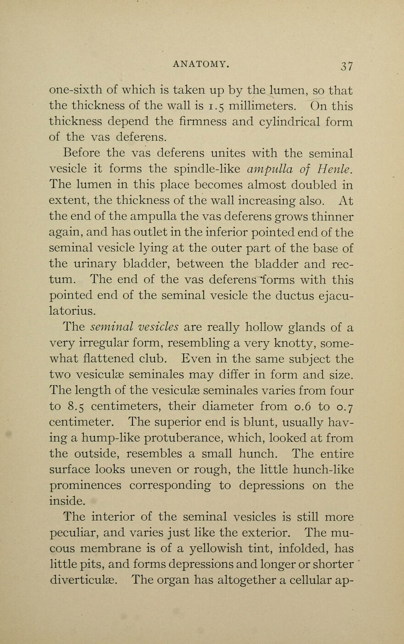 one-sixth of which is taken up by the lumen, so that the thickness of the wall is 1.5 millimeters. On this thickness depend the firmness and cylindrical form of the vas deferens. Before the vas deferens unites with the seminal vesicle it forms the spindle-like ampulla of Henle. The lumen in this place becomes almost doubled in extent, the thickness of the wall increasing also. At the end of the ampulla the vas deferens grows thinner again, and has outlet in the inferior pointed end of the seminal vesicle lying at the outer part of the base of the urinary bladder, between the bladder and rec- tum. The end of the vas deferens forms with this pointed end of the seminal vesicle the ductus ejacu- latorius. The seminal vesicles are really hollow glands of a very irregular form, resembling a very knotty, some- what flattened club. Even in the same subject the two vesiculas seminales may differ in form and size. The length of the vesiculse seminales varies from four to 8.5 centimeters, their diameter from 0.6 to 0.7 centimeter. The superior end is blunt, usually hav- ing a hump-like protuberance, which, looked at from the outside, resembles a small hunch. The entire surface looks uneven or rough, the little hunch-like prominences corresponding to depressions on the inside. The interior of the seminal vesicles is still more peculiar, and varies just like the exterior. The mu- cous membrane is of a yellowish tint, infolded, has little pits, and forms depressions and longer or shorter diverticulse. The organ has altogether a cellular ap-
