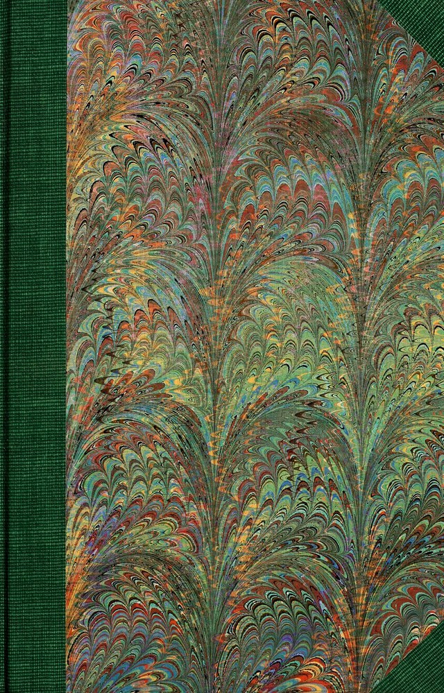 No text description is available for this image