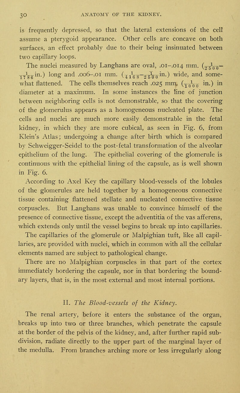 is frequently depressed, so that the lateral extensions of the cell assume a pterygoid appearance. Other cells are concave on both surfaces, an effect probably due to their being insinuated between two capillary loops. The nuclei measured by Langhans are oval, .01-014 mm. (o-gVo- 1 in.) long and .006-.01 mm. (41V 82 sVc1-) wide, and some- what flattened. The cells themselves reach .025 mm. (-j-^q- in.) in diameter at a maximum. In some instances the line of junction between neighboring cells is not demonstrable, so that the covering of the glomerulus appears as a homogeneous nucleated plate. The cells and nuclei are much more easily demonstrable in the fetal kidney, in which they are more cubical, as seen in Fig. 6, from Klein's Atlas; undergoing a change after birth which is compared by Schweigger-Seidel to the post-fetal transformation of the alveolar epithelium of the lung. The epithelial covering of the glomerule is continuous with the epithelial lining of the capsule, as is well shown in Fig. 6. According to Axel Key the capillary blood-vessels of the lobules of the glomerules are held together by a homogeneous connective tissue containing flattened stellate and nucleated connective tissue corpuscles. But Langhans was unable to convince himself of the presence of connective tissue, except the adventitia of the vas aff erens, which extends only until the vessel begins to break up into capillaries. The capillaries of the glomerule or Malpighian tuft, like all capil- laries, are provided with nuclei, which in common with all the cellular elements named are subject to pathological change. There are no Malpighian corpuscles in that part of the cortex immediately bordering the capsule, nor in that bordering the bound- ary layers, that is, in the most external and most internal portions. II. The Blood-vessels of the Kidney. The renal artery, before it enters the substance of the organ, breaks up into two or three branches, which penetrate the capsule at the border of the pelvis of the kidney, and, after further rapid sub- division, radiate directly to the upper part of the marginal layer of the medulla. From branches arching more or less irregularly along