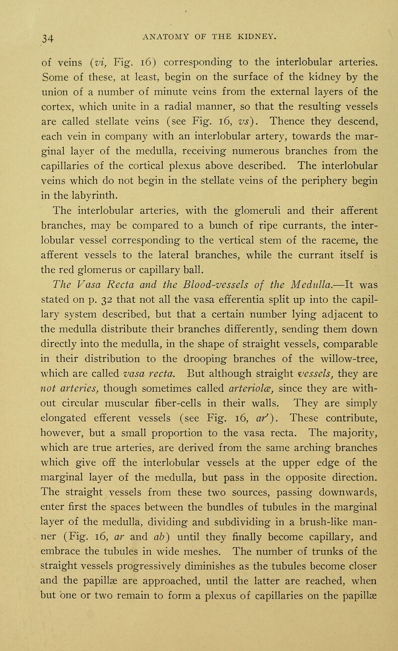 of veins {vi, Fig. 16) corresponding to the interlobular arteries. Some of these, at least, begin on the surface of the kidney by the union of a number of minute veins from the external layers of the cortex, which unite in a radial manner, so that the resulting vessels are called stellate veins (see Fig. 16, vs). Thence they descend, each vein in company with an interlobular artery, towards the mar- ginal layer of the medulla, receiving numerous branches from the capillaries of the cortical plexus above described. The interlobular veins which do not begin in the stellate veins of the periphery begin in the labyrinth. The interlobular arteries, with the glomeruli and their afferent branches, may be compared to a bunch of ripe currants, the inter- lobular vessel corresponding to the vertical stem of the raceme, the afferent vessels to the lateral branches, while the currant itself is the red glomerus or capillary ball. The Vasa Recta and the Blood-vessels of the Medulla.—It was stated on p. 32 that not all the vasa efferentia split up into the capil- lary system described, but that a certain number lying adjacent to the medulla distribute their branches differently, sending them down directly into the medulla, in the shape of straight vessels, comparable in their distribution to the drooping branches of the willow-tree, which are called vasa recta. But although straight vessels} they are not arteries, though sometimes called arterioles, since they are with- out circular muscular fiber-cells in their walls. They are simply elongated efferent vessels (see Fig. 16, ar'). These contribute, however, but a small proportion to the vasa recta. The majority, which are true arteries, are derived from the same arching branches which give off the interlobular vessels at the upper edge of the marginal layer of the medulla, but pass in the opposite direction. The straight vessels from these two sources, passing downwards, enter first the spaces between the bundles of tubules in the marginal layer of the medulla, dividing and subdividing in a brush-like man- ner (Fig. 16, ar and ab) until they finally become capillary, and embrace the tubules in wide meshes. The number of trunks of the straight vessels progressively diminishes as the tubules become closer and the papillae are approached, until the latter are reached, when but one or two remain to form a plexus of capillaries on the papillae