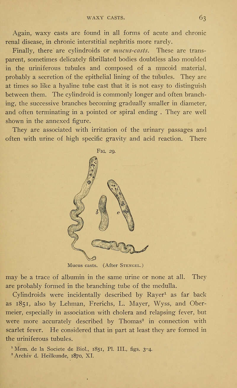 Again, waxy casts are found in all forms of acute and chronic renal disease, in chronic interstitial nephritis more rarely. Finally, there are cylindroids or mucus-casts. These are trans- parent, sometimes delicately fibrillated bodies doubtless also moulded in the uriniferous tubules and composed of a mucoid material, probably a secretion of the epithelial lining of the tubules. They are at times so like a hyaline tube cast that it is not easy to distinguish between them. The cylindroid is commonly longer and often branch- ing, the successive branches becoming gradually smaller in diameter, and often terminating in a pointed or spiral ending . They are well shown in the annexed figure. They are associated with irritation of the urinary passages and often with urine of high specific gravity and acid reaction. There Fig. 29. Mucus casts. (After Stengel.) may be a trace of albumin in the same urine or none at all. They are probably formed in the branching tube of the medulla. Cylindroids were incidentally described by Rayer1 as far back as 1851, also by Lehman, Frerichs, L. Mayer, Wyss, and Ober- meier, especially in association with cholera and relapsing fever, but were more accurately described by Thomas2 in connection with scarlet fever. He considered that in part at least they are formed in the uriniferous tubules. 1 Mem. de la Societe de Biol., 1851, PI. III., figs. 3-4. 2Archiv d. Heilkunde, 1870, XL