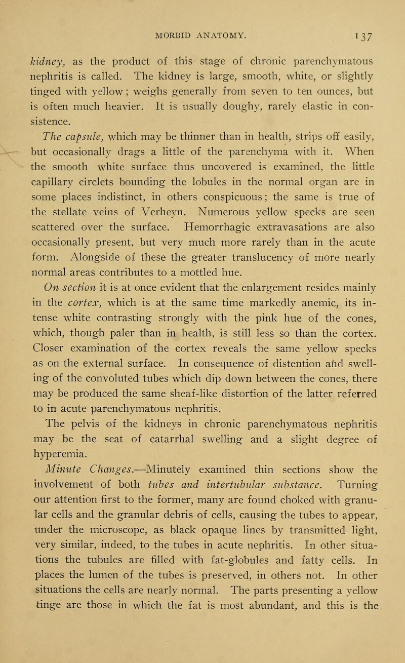 kidney, as the product of this stage of chronic parenchymatous nephritis is called. The kidney is large, smooth, white, or slightly tinged with yellow; weighs generally from seven to ten ounces, hut is often much heavier. It is usually doughy, rarely elastic in con- sistence. The capsule, which may be thinner than in health, strips off easily, but occasionally drags a little of the parenchyma with it. When the smooth white surface thus uncovered is examined, the little capillary circlets bounding the lobules in the normal organ are in some places indistinct, in others conspicuous; the same is true of the stellate veins of Verheyn. Numerous yellow specks are seen scattered over the surface. Hemorrhagic extravasations are also occasionally present, but very much more rarely than in the acute form. Alongside of these the greater translucency of more nearly normal areas contributes to a mottled hue. On section it is at once evident that the enlargement resides mainly in the cortex, which is at the same time markedly anemic, its in- tense white contrasting strongly with the pink hue of the cones, which, though paler than in health, is still less so than the cortex. Closer examination of the cortex reveals the same yellow specks as on the external surface. In consequence of distention and swell- ing of the convoluted tubes which dip down between the cones, there may be produced the same sheaf-like distortion of the latter referred to in acute parenchymatous nephritis. The pelvis of the kidneys in chronic parenchymatous nephritis may be the seat of catarrhal swelling and a slight degree of hyperemia. Minute Changes.—Minutely examined thin sections show the involvement of both tubes and intertubular substance. Turning our attention first to the former, many are found choked with granu- lar cells and the granular debris of cells, causing the tubes to appear, under the microscope, as black opaque lines by transmitted light, very similar, indeed, to the tubes in acute nephritis. In other situa- tions the tubules are filled with fat-globules and fatty cells. In places the lumen of the tubes is preserved, in others not. In other situations the cells are nearly normal. The parts presenting a yellow tinge are those in which the fat is most abundant, and this is the