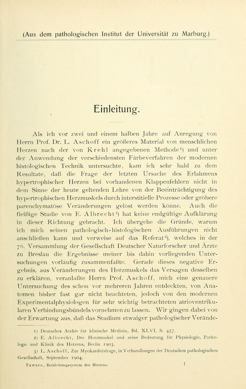 (Aus dem pathologischen Institut der Universität zu Marburg.) Einleitung. Als ich vor zwei und einem halben Jahre auf Anreg-ung von Herrn Prof. Dr. L. Asch off ein größeres Material von menschlichen Herzen nach der von Krehl angegebenen Methode1) und unter der Anwendung der verschiedensten Färbeverfahren der modernen histologischen Technik untersuchte, kam ich sehr bald zu dem Resultate, daß die Frage der letzten Ursache des Erlahmens hypertrophischer Herzen bei vorhandenen Klappenfehlern nicht in dem Sinne der heute geltenden Lehre von der Beeinträchtigung des hvpertrophischen Herzmuskels durch interstitielle Prozesse oder gröbere parenchymatöse Veränderungen gelöst werden könne. Auch die fleißige Studie von E. Albrecht2) hat keine endgültige Aufklärung in dieser Richtung gebracht. Ich überg-ehe die Gründe, warum ich mich seinen pathologisch-histologischen Ausführungen nicht anschließen kann und verweise auf das Referat3), welches in der 76. Versammlung der Gesellschaft Deutscher Naturforscher und Ärzte zu Breslau die Ergebnisse meiner bis dahin vorliegenden Unter- suchungen vorläufig zusammenfaßte. Gerade dieses negative Er- gebnis, aus Veränderungen des Flerzmuskels das Versagen desselben zu erklären, veranlaßte Herrn Prof. Aschoff, mich eine genauere Untersuchung des schon vor mehreren Jahren entdeckten, von Ana- tomen bisher fast gar nicht beachteten, jedoch von den modernen Experimentalphysiologen für sehr wichtig betrachteten atrioventriku- lären Verbindungsbündels vornehmen zu lassen. Wir gingen dabei von der Erwartung aus, daß das Studium etwaiger pathologischer Verände- 1) Deutsches Archiv für klinische Medizin, Bd. XLVI, S. 457. 2) E. Albrecht, Der Herzmuskel und seine Bedeutung für Physiologie, Patho- logie und Klinik des Herzens, Berlin 1903. 3) L. Aschoff, Zur Myokarditisfrage, in Verhandlungen der Deutschen pathologischen Gesellschaft, September 1904.