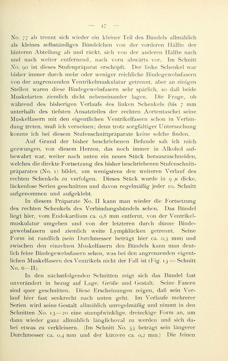 No. 77 ab trennt sich wieder ein kleiner Teil des Bündels allmählich als kleines selbständiges Bündelchen von der vorderen Hälfte der hinteren Abteilung- ab und rückt, sich von der anderen Hälfte nach und nach weiter entfernend, nach vorn abwärts vor. Im Schnitt No. 90 ist dieses Stufenpräparat erschöpft. Der linke Schenkel war bisher immer durch mehr oder weniger reichliche Bindegewebsfasern von der angrenzenden Ventrikelmuskulatur getrennt, aber an einigen Stellen waren diese Bindegewebsfasern sehr spärlich, so daß beide Muskelarten ziemlich dicht nebeneinander lagen. Die Frage, ob während des bisherigen Verlaufs des linken Schenkels (bis 7 mm unterhalb des tiefsten Ansatzteiles der rechten Aortentasche) seine Muskelfasern mit den eigentlichen Ventrikelfasern schon in Verbin- dung treten, muß ich verneinen; denn trotz sorgfältiger Untersuchung konnte ich bei diesem Stufenschnittpräparate keine solche rinden. Auf Grund der bisher beschriebenen Befunde sah ich mich gezwungen, von diesem Herzen, das noch immer in Alkohol auf- bewahrt war, weiter nach unten ein neues Stück herauszuschneiden, welches die direkte Fortsetzung des bisher beschriebenen Stufenschnitt- präparates (No. 1) bildet, um wenigstens den weiteren Verlauf des rechten Schenkels zu verfolgen. Dieses Stück wurde in 9 pi dicke, lückenlose Serien geschnitten und davon regelmäßig jeder 10. Schnitt aufgenommen und aufgeklebt. In diesem Präparate No. II kann man wieder die Fortsetzung des rechten Schenkels des Verbindungsbündels sehen. Das Bündel liegt hier, vom Endokardium ca. 0,8 mm entfernt, von der Ventrikel- muskulatur umgeben und von der letzteren durch dünne Binde- gewebsfasern und ziemlich weite Lymphlücken getrennt. Seine Form ist rundlich (sein Durchmesser beträgt hier ca. 0,3 mm) und zwischen den einzelnen Muskelfasern des Bündels kann man deut- lich feine Bindegewebsfasern sehen, was bei den angrenzenden eigent- lichen Muskelfasern des Ventrikels nicht der Fall ist (Fig. 13 = Schnitt No. 6—II). In den nächstfolgenden Schnitten zeigt sich das Bündel fast unverändert in bezug auf Lage, Größe und Gestalt. Seine Fasern sind quer geschnitten. Diese Erscheinungen zeigen, daß sein Ver- lauf hier fast senkrecht nach unten geht. Im Verlaufe mehrerer Serien wird seine Gestalt allmählich unregelmäßig und nimmt in den Schnitten No. 13 — 20 eine stumpfwinklige, dreieckige Form an, um dann wieder ganz allmählich länglichoval zu werden und sich da- bei etwas zu verkleinern. (Im Schnitt No. 33 beträgt sein längerer Durchmesser ca. 0,4 mm und der kürzere ca. 0,2 mm.) Die feinen