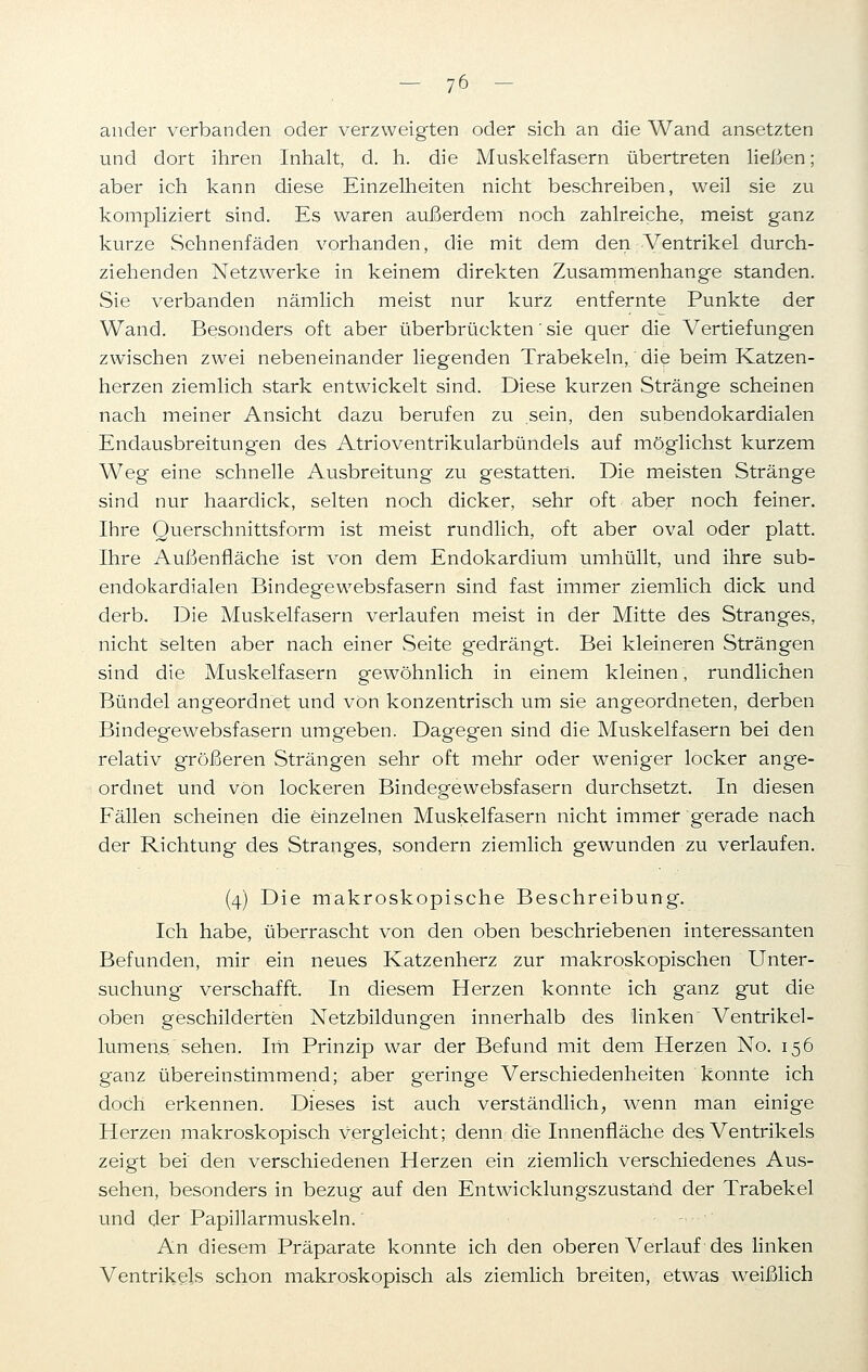 ander verbanden oder verzweigten oder sich an die Wand ansetzten und dort ihren Inhalt, d. h. die Muskelfasern übertreten ließen; aber ich kann diese Einzelheiten nicht beschreiben, weil sie zu kompliziert sind. Es waren außerdem noch zahlreiche, meist ganz kurze Sehnenfäden vorhanden, die mit dem den Ventrikel durch- ziehenden Netzwerke in keinem direkten Zusammenhange standen. Sie verbanden nämlich meist nur kurz entfernte Punkte der Wand. Besonders oft aber überbrückten' sie quer die Vertiefungen zwischen zwei nebeneinander liegenden Trabekeln, die beim Katzen- herzen ziemlich stark entwickelt sind. Diese kurzen Stränge scheinen nach meiner Ansicht dazu berufen zu sein, den subendokardialen Endausbreitungen des Atrioventrikularbündels auf möglichst kurzem Weg eine schnelle Ausbreitung zu gestatten. Die meisten Stränge sind nur haardick, selten noch dicker, sehr oft aber noch feiner. Ihre Querschnittsform ist meist rundlich, oft aber oval oder platt. Ihre Außenfläche ist von dem Endokardium umhüllt, und ihre sub- endokardialen Bindegewebsfasern sind fast immer ziemlich dick und derb. Die Muskelfasern verlaufen meist in der Mitte des Stranges, nicht selten aber nach einer Seite gedrängt. Bei kleineren Strängen sind die Muskelfasern gewöhnlich in einem kleinen, rundlichen Bündel angeordnet und von konzentrisch um sie angeordneten, derben Bindegewebsfasern umgeben. Dagegen sind die Muskelfasern bei den relativ größeren Strängen sehr oft mehr oder weniger locker ange- ordnet und von lockeren Bindegewebsfasern durchsetzt. In diesen Fällen scheinen die einzelnen Muskelfasern nicht immer gerade nach der Richtung des Stranges, sondern ziemlich gewunden zu verlaufen. (4) Die makroskopische Beschreibung. Ich habe, überrascht von den oben beschriebenen interessanten Befunden, mir ein neues Katzenherz zur makroskopischen Unter- suchung verschafft. In diesem Herzen konnte ich ganz gut die oben geschilderten Netzbildungen innerhalb des linken Ventrikel- lumens sehen. Im Prinzip war der Befund mit dem Herzen No. 156 ganz übereinstimmend; aber geringe Verschiedenheiten konnte ich doch erkennen. Dieses ist auch verständlich; wenn man einige Herzen makroskopisch vergleicht; denn die Innenfläche des Ventrikels zeigt bei den verschiedenen Herzen ein ziemlich verschiedenes Aus- sehen, besonders in bezug auf den Entwicklungszustand der Trabekel und der Papillarmuskeln.' An diesem Präparate konnte ich den oberen Verlauf des linken Ventrikels schon makroskopisch als ziemlich breiten, etwas weißlich