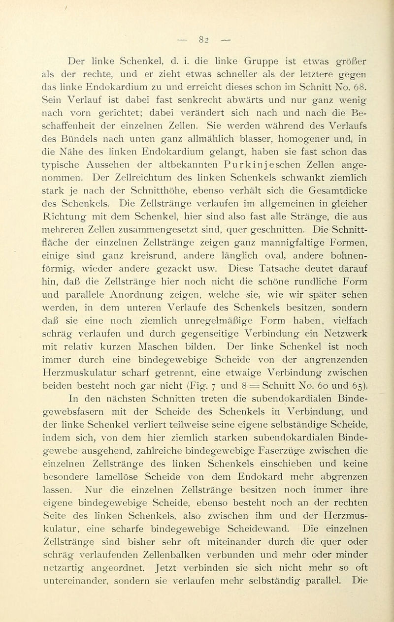 Der linke Schenkel, d. i. die linke Gruppe ist etwas größer als der rechte, und er zieht etwas schneller als der letztere gegen das linke Endokardium zu und erreicht dieses schon im Schnitt No. 68. Sein Verlauf ist dabei fast senkrecht abwärts und nur ganz wenig nach vorn gerichtet; dabei verändert sich nach und nach die Be- schaffenheit der einzelnen Zellen. Sie werden während des Verlaufs des Bündels nach unten ganz allmählich blasser, homogener und, in die Nähe des linken Endokardium gelangt, haben sie fast schon das typische Aussehen der altbekannten Purkinj eschen Zellen ange- nommen. Der Zellreichtum des linken Schenkels schwankt ziemlich stark je nach der Schnitthöhe, ebenso verhält sich die Gesamtdicke des Schenkels. Die Zellstränge verlaufen im allgemeinen in gleicher Richtung mit dem Schenkel, hier sind also fast alle Stränge, die aus mehreren Zellen zusammengesetzt sind, quer geschnitten. Die Schnitt- fläche der einzelnen Zellstränge zeigen ganz mannigfaltige Formen, einige sind ganz kreisrund, andere länglich oval, andere bohnen- förmig, wieder andere gezackt usw. Diese Tatsache deutet darauf hin, daß die Zellstränge hier noch nicht die schöne rundliche Form und parallele Anordnung zeigen, welche sie, wie wir später sehen werden, in dem unteren Verlaufe des Schenkels besitzen, sondern daß sie eine noch ziemlich unregelmäßige Form haben, vielfach schräg verlaufen und durch gegenseitige Verbindung ein Netzwerk mit relativ kurzen Maschen bilden. Der linke Schenkel ist noch immer durch eine bindegewebige Scheide von der angrenzenden Herzmuskulatur scharf getrennt, eine etwaige Verbindung zwischen beiden besteht noch gar nicht (Fig. 7 und 8 = Schnitt No. 60 und 65). In den nächsten Schnitten treten die subendokardialen Binde- gewebsfasern mit der Scheide des Schenkels in Verbindung, und der linke Schenkel verliert teilweise seine eigene selbständige Scheide, indem sich, von dem hier ziemlich starken subendokardialen Binde- gewebe ausgehend, zahlreiche bindegewebige Faserzüge zwischen die einzelnen Zellstränge des linken Schenkels einschieben und keine besondere lamellöse Scheide von dem Endokard mehr abgrenzen lassen. Nur die einzelnen Zellstränge besitzen noch immer ihre eigene bindegewebige Scheide, ebenso besteht noch an der rechten Seite des linken Schenkels, also zwischen ihm und der Herzmus- kulatur, eine scharfe bindegewebige Scheidewand. Die einzelnen Zellstränge sind bisher sehr oft miteinander durch die quer oder schräg verlaufenden Zellenbalken verbunden und mehr oder minder netzartig angeordnet. Jetzt verbinden sie sich nicht mehr so oft untereinander, sondern sie verlaufen mehr selbständig parallel. Die