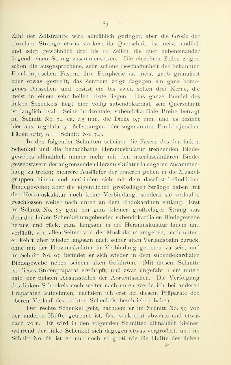 Zahl der Zellsträng-e wird allmählich geringer, aber die Größe der einzelnen Stränge etwas stärker; ihr Querschnitt ist meist rundlich und zeigt gewöhnlich drei bis 10 Zellen, die quer nebeneinander liegend einen Strang zusammensetzen. Die einzelnen Zellen zeigen schon die ausgesprochene, sehr schöne Beschaffenheit der bekannten Purkinjeschen Fasern, ihre Peripherie ist meist grob granuliert oder etwas gestreift, das Zentrum zeigt dagegen ein ganz homo- genes Aussehen und besitzt ein bis zwei, selten drei Kerne, die meist in einem sehr hellen Hofe liegen. Das ganze Bündel des linken Schenkels liegt hier völlig subendokardial, sein Querschnitt ist länglich oval. Seine horizontale, subendokardiale Breite beträgt im Schnitt No. 74 ca. 2,5 mm, die Dicke 0,7 mm, und es besteht hier aus ungefähr 50 Zellsträngen oder sogenannten Purkinj eschen Fäden (Fig. 9 = Schnitt No. 74). In den folgenden Schnitten scheinen die Fasern des den linken Schenkel und die benachbarte Herzmuskulatur trennenden Binde- gewebes allmählich immer mehr mit den interfascikulären Binde- gewebsfasern der angrenzenden Herzmuskulatur in engeren Zusammen- hang zu treten; mehrere Ausläufer der ersteren gehen in die Muskel- gruppen hinein und verbinden sich mit dem daselbst befindlichen Bindegewebe; aber die eigentlichen großzelligen Stränge haben mit der Herzmuskulatur noch keine Verbindung, sondern sie verlaufen geschlossen weiter nach unten an dem Endokardium entlang. Erst im Schnitt No. 85 geht ein ganz kleiner großzelliger Strang aus dem den linken Schenkel umgebenden subendokardialen Bindegewebe heraus und rückt ganz langsam in die Herzmuskulatur hinein und verläuft, von allen Seiten von der Muskulatur umgeben, nach unten; er kehrt aber wieder langsam nach seiner alten Verlaufsbahn zurück, ohne mit der Herzmuskulatur in Verbindung getreten zu sein, und im Schnitt No. 97 befindet er sich wieder in dem subendokardialen Bindegewebe neben seinem alten Gefährten. (Mit diesem Schnitte ist dieses Stufenpräparat erschöpft, und zwar ungefähr 1 cm unter- halb der tiefsten Ansatzstellen der Aortentaschen. Die Verfolgung des linken Schenkels noch weiter nach unten werde ich bei anderen Präparaten aufnehmen, nachdem ich erst bei diesem Präparate den oberen Verlauf des rechten Schenkels beschrieben habe.) Der rechte Schenkel geht, nachdem er im Schnitt No. 59 von der anderen Hälfte getrennt ist, fast senkrecht abwärts und etwas nach vorn. Er wird in den folgenden Schnitten allmählich kleiner, während der linke Schenkel sich dagegen etwas vergrößert, und im Schnitt No. 68 ist er nur noch so groß wie die Hälfte des linken 6*