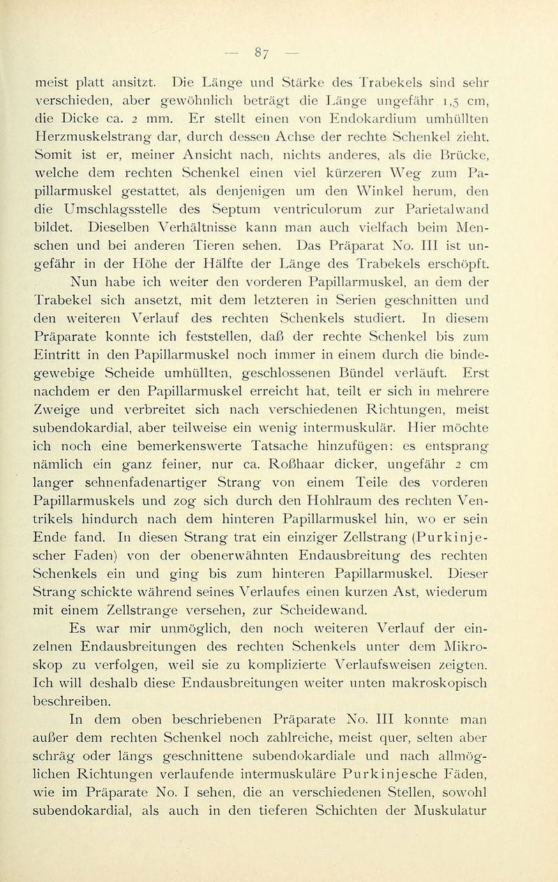 meist platt ansitzt. Die Länge und Stärke des Trabekels sind sehr verschieden, aber gewöhnlich beträgt die Länge ungefähr 1,5 cm, die Dicke ca. 2 mm. Er stellt einen von Endokardium umhüllten Herzmuskelstrang dar, durch dessen Achse der rechte Schenkel zieht. Somit ist er, meiner Ansicht nach, nichts anderes, als die Brücke, welche dem rechten Schenkel einen viel kürzeren Weg zum Pa- pillarmuskel gestattet, als denjenigen um den Winkel herum, den die Umschlagsstelle des Septum ventriculorum zur Parietalwand bildet. Dieselben Verhältnisse kann man auch vielfach beim Men- schen und bei anderen Tieren sehen. Das Präparat No. III ist un- gefähr in der Höhe der Hälfte der Länge des Trabekels erschöpft. Nun habe ich weiter den vorderen Papillarmuskel, an dem der Trabekel sich ansetzt, mit dem letzteren in Serien geschnitten und den weiteren Verlauf des rechten Schenkels studiert. In diesem Präparate konnte ich feststellen, daß der rechte Schenkel bis zum Eintritt in den Papillarmuskel noch immer in einem durch die binde- gewebige Scheide umhüllten, geschlossenen Bündel verläuft. Erst nachdem er den Papillarmuskel erreicht hat, teilt er sich in mehrere Zweige und verbreitet sich nach verschiedenen Richtungen, meist subendokardial, aber teilweise ein wenig intermuskulär. Hier möchte ich noch eine bemerkenswerte Tatsache hinzufügen: es entsprang nämlich ein ganz feiner, nur ca. Roßhaar dicker, ungefähr 2 cm langer sehnenfadenartiger Strang von einem Teile des vorderen Papillarmuskels und zog sich durch den Hohlraum des rechten Ven- trikels hindurch nach dem hinteren Papillarmuskel hin, wo er sein Ende fand. In diesen Strang trat ein einziger Zellstrang (Purkinje- scher Faden) von der obenerwähnten Endausbreitung des rechten Schenkels ein und ging bis zum hinteren Papillarmuskel. Dieser Strang schickte während seines Verlaufes einen kurzen Ast, wiederum mit einem Zellstrange versehen, zur Scheidewand. Es war mir unmöglich, den noch weiteren Verlauf der ein- zelnen Endausbreitungen des rechten Schenkels unter dem Mikro- skop zu verfolgen, weil sie zu komplizierte Verlaufsweisen zeigten. Ich will deshalb diese Endausbreitungen weiter unten makroskopisch beschreiben. In dem oben beschriebenen Präparate No. III konnte man außer dem rechten Schenkel noch zahlreiche, meist quer, selten aber schräg oder längs geschnittene subendokardiale und nach allmög- lichen Richtungen verlaufende intermuskuläre Purkinjesche Fäden, wie im Präparate No. I sehen, die an verschiedenen Stellen, sowohl subendokardial, als auch in den tieferen Schichten der Muskulatur