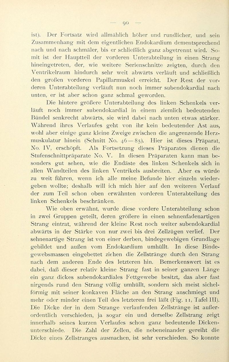 go ist). Der Fortsatz wird allmählich höher und rundlicher, und sein Zusammenhang mit dem eigentlichen Endokardium dementsprechend nach und nach schmäler, bis er schließlich ganz abgetrennt wird. So- mit ist der Hauptteil der vorderen Unterabteilung in einen Strang hineingetreten, der, wie weitere Serienschnitte zeigten, durch den Ventrikelraum hindurch sehr weit abwärts verläuft und schließlich den großen vorderen Papillarmuskel erreicht. Der Rest der vor- deren Unterabteilung verläuft nun noch immer subendokardial nach unten, er ist aber schon ganz schmal geworden. Die hintere größere Unterabteilung des linken Schenkels ver- läuft noch immer subendokardial in einem ziemlich bedeutenden Bündel senkrecht abwärts, sie wird dabei nach unten etwas stärker. Während ihres Verlaufes geht von ihr kein bedeutender Ast aus, wohl aber einige ganz kleine Zweige zwischen die angrenzende Herz- muskulatur hinein (Schnitt No. 46 — 85). Hier ist dieses Präparat, No. IV, erschöpft. Als Fortsetzung dieses Präparates dienen die Stufenschnittpräparate No. V. In diesen Präparaten kann man be- sonders gut sehen, wie die Endäste des linken Schenkels sich in allen Wandteilen des linken Ventrikels ausbreiten. Aber es würde zu weit führen, wenn ich alle meine Befunde hier einzeln wieder- geben wollte; deshalb will ich mich hier auf den weiteren Verlauf der zum Teil schon oben erwähnten vorderen Unterabteilung des linken Schenkels beschränken. Wie oben erwähnt, wurde diese vordere Unterabteilung schon in zwei Gruppen geteilt, deren größere in einen sehnenfadenartigen Strang eintrat, während der kleine Rest noch weiter subendokardial abwärts in der Stärke von nur zwei bis drei Zellzügen verlief. Der sehnenartige Strang ist von einer derben, bindegewebigen Grundlage gebildet und außen vom Endokardium umhüllt. In diese Binde- gewebsmassen eingebettet ziehen die Zellstränge durch den Strang nach dem anderen Ende des letzteren hin. Bemerkenswert ist es dabei, daß dieser relativ kleine Strang fast in seiner ganzen Länge ein ganz dickes subendokardiales Fettgewebe besitzt, das aber fast nirgends rund den Strang völlig umhüllt, sondern sich meist sichel- förmig mit seiner konkaven Fläche an den Strang anschmiegt und mehr oder minder einen Teil des letzteren frei läßt (Fig. 11, Tafel III). Die Dicke der in dem Strange verlaufenden Zellstränge ist außer- ordentlich verschieden, ja sogar ein und derselbe Zellstrang zeigt innerhalb seines kurzen Verlaufes schon ganz bedeutende Dicken- unterschiede. Die Zahl der Zellen, die nebeneinander gereiht die Dicke eines Zellstranges ausmachen, ist sehr verschieden. So konnte