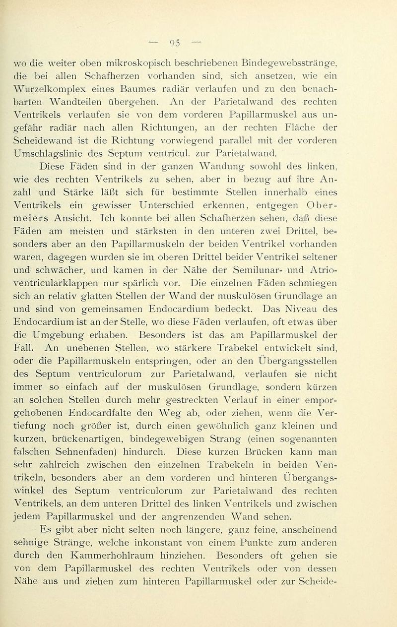 wo die weiter oben mikroskopisch beschriebenen Bindegewebsstränge, die bei allen Schafherzen vorhanden sind, sich ansetzen, wie ein Wurzelkomplex eines Baumes radiär verlaufen und zu den benach- barten Wandteilen übergehen. An der Parietalvvand des rechten Ventrikels verlaufen sie von dem vorderen Papillarmuskel aus un- gefähr radiär nach allen Richtungen, an der rechten Fläche der Scheidewand ist die Richtung vorwiegend parallel mit der vorderen Umschlagslinie des Septum ventricul. zur Parietalwand. Diese Fäden sind in der ganzen Wandung sowohl des linken, wie des rechten Ventrikels zu sehen, aber in bezug auf ihre An- zahl und Stärke läßt sich für bestimmte Stellen innerhalb eines Ventrikels ein gewisser Unterschied erkennen, entgegen Ober- meiers Ansicht. Ich konnte bei allen Schafherzen sehen, daß diese Fäden am meisten und stärksten in den unteren zwei Drittel, be- sonders aber an den Papillarmuskeln der beiden Ventrikel vorhanden waren, dagegen wurden sie im oberen Drittel beider Ventrikel seltener und schwächer, und kamen in der Nähe der Semilunar- und Atrio- ventricularklappen nur spärlich vor. Die einzelnen Fäden schmiegen sich an relativ glatten Stellen der Wand der muskulösen Grundlage an und sind von gemeinsamen Endocardium bedeckt. Das Niveau des Endocardium ist an der Stelle, wo diese Fäden verlaufen, oft etwas über die Umgebung erhaben. Besonders ist das am Papillarmuskel der Fall. An unebenen Stellen, wo stärkere Trabekel entwickelt sind, oder die Papillarmuskeln entspringen, oder an den Übergangsstellen des Septum ventriculorum zur Parietalwand, verlaufen sie nicht immer so einfach auf der muskulösen Grundlage, sondern kürzen an solchen Stellen durch mehr gestreckten Verlauf in einer empor- gehobenen Endocardfalte den Weg ab, oder ziehen, wenn die Ver- tiefung noch größer ist, durch einen gewöhnlich ganz kleinen und kurzen, brückenartigen, bindegewebigen Strang (einen sogenannten falschen Sehnenfaden) hindurch. Diese kurzen Brücken kann man sehr zahlreich zwischen den einzelnen Trabekeln in beiden Ven- trikeln, besonders aber an dem vorderen und hinteren Übergangs- winkel des Septum ventriculorum zur Parietalwand des rechten Ventrikels, an dem unteren Drittel des linken Ventrikels und zwischen jedem Papillarmuskel und der angrenzenden Wand sehen. Es gibt aber nicht selten noch längere, ganz feine, anscheinend sehnige Stränge, welche inkonstant von einem Punkte zum anderen durch den Kammerhohlraum hinziehen. Besonders oft gehen sie von dem Papillarmuskel des rechten Ventrikels oder von dessen Nähe aus und ziehen zum hinteren Papillarmuskel oder zur Scheide-
