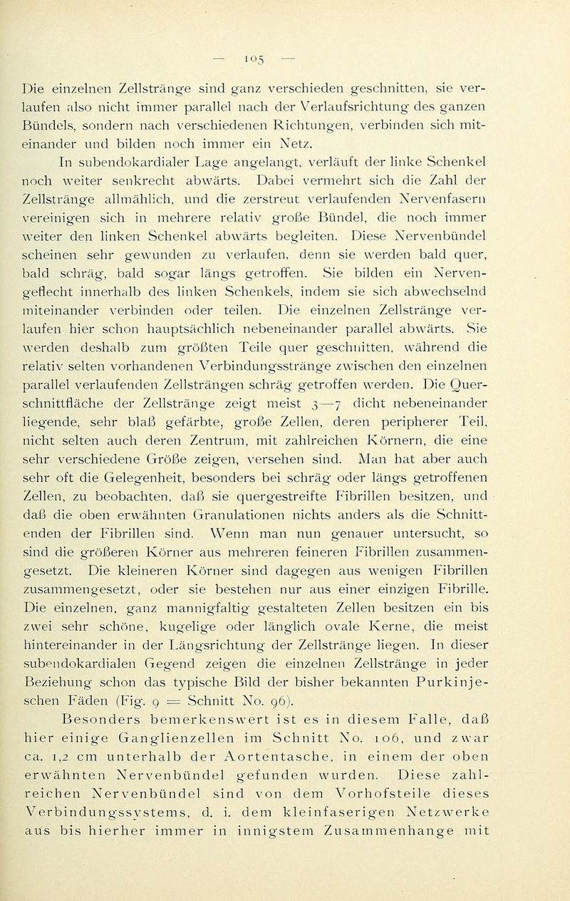 Die einzelnen Zellstränge sind ganz verschieden geschnitten, sie ver- laufen also nicht immer parallel nach der Verlaufsrichtung des ganzen Bündels, sondern nach verschiedenen Richtungen, verbinden sich mit- einander und bilden noch immer ein Netz. In subendokardialer Lage angelangt, verläuft der linke Schenkel noch weiter senkrecht abwärts. Dabei vermehrt sich die Zahl der Zellstränge allmählich, und die zerstreut verlaufenden Nervenfasern vereinigen sich in mehrere relativ große Bündel, die noch immer weiter den linken Schenkel abwärts begleiten. Diese Nervenbündel scheinen sehr gewunden zu verlaufen, denn sie werden bald quer, bald schräg, bald sog'ar längs getroffen. Sie bilden ein Nerven- geflecht innerhalb des linken Schenkels, indem sie sich abwechselnd miteinander verbinden oder teilen. Die einzelnen Zellstränge ver- laufen hier schon hauptsächlich nebeneinander parallel abwärts. Sie werden deshalb zum größten Teile quer geschnitten, während die relativ selten vorhandenen Verbindungsstränge zwischen den einzelnen parallel verlaufenden Zellsträngen schräg getroffen werden. Die Quer- schnittfläche der Zellstränge zeigt meist 3—7 dicht nebeneinander liegende, sehr blaß gefärbte, große Zellen, deren peripherer Teil, nicht selten auch deren Zentrum, mit zahlreichen Körnern, die eine sehr verschiedene Größe zeigen, versehen sind. Man hat aber auch sehr oft die Gelegenheit, besonders bei schräg oder längs getroffenen Zellen, zu beobachten, daß sie quergestreifte Fibrillen besitzen, und daß die oben erwähnten Granulationen nichts anders als die Schnitt- enden der Fibrillen sind. Wenn man nun genauer untersucht, so sind die größeren Körner aus mehreren feineren Fibrillen zusammen- gesetzt. Die kleineren Körner sind dagegen aus wenigen Fibrillen zusammengesetzt, oder sie bestehen nur aus einer einzigen Fibrille. Die einzelnen, ganz mannigfaltig' gestalteten Zellen besitzen ein bis zwei sehr schöne, kugelige oder länglich ovale Kerne, die meist hintereinander in der Längsrichtung der Zellstränge liegen. In dieser subendokardialen Gegend zeigen die einzelnen Zellstränge in jeder Beziehung schon das typische Bild der bisher bekannten Purkinje- schen Fäden (Fig. 9 = Schnitt No. 96). Besonders bemerkenswert ist es in diesem Falle, daß hier einige Ganglienzellen im Schnitt No. 106, und zwar ca. 1,2 cm unterhalb der iVortentasche, in einem der oben erwähnten Nervenbündel gefunden wurden. Diese zahl- reichen Nervenbündel sind von dem Vorhofsteile dieses Verbindungssystems, d. i. dem kleinfaserigen Netzwerke aus bis hierher immer in innigstem Zusammenhange mit