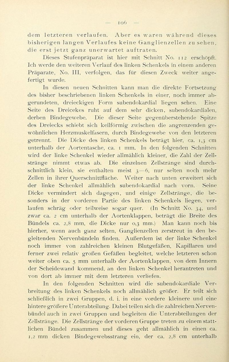 dem letzteren verlaufen. Aber es waren während dieses bisherigen langen Verlaufes keine Ganglienzellen zu sehen, die erst jetzt ganz unerwartet auftraten. Dieses Stufenpräparat ist hier mit Schnitt No. 112 erschöpft. Ich werde den weiteren Verlauf des linken Schenkels in einem anderen Präparate, No. III, verfolg-en, das für diesen Zweck weiter ange- fertigt wurde. In diesen neuen Schnitten kann man die direkte Fortsetzung des bisher beschriebenen linken Schenkels in einer, noch immer ab- gerundeten, dreieckigen Form subendokardial liegen sehen. Eine Seite des Dreicekes ruht auf dem sehr dicken, subendokardialen, derben Bindeg'ewrebe. Die dieser Seite gegenüberstehende Spitze des Dreiecks schiebt sich keilförmig zwischen die angrenzenden ge- wöhnlichen Herzmuskelfasern, durch Bindegewebe von den letzteren getrennt. Die Dicke des linken Schenkels beträgt hier, ca. 1,3 cm unterhalb der Aortentasche, ca. 1 mm. In den folgenden Schnitten wird der linke Schenkel wieder allmählich kleiner, die Zahl der Zell- stränge nimmt etwas ab. Die einzelnen Zellstränge sind durch- schnittlich klein, sie enthalten meist 3—6, nur selten noch mehr Zellen in ihrer Querschnittfläche. Weiter nach unten erweitert sich der linke Schenkel allmählich subendokardial nach vorn. Seine Dicke vermindert sich dagegen, und einige Zellstränge, die be- sonders in der vorderen Partie des linken Schenkels liegen, ver- laufen schräg oder teilweise sogar quer. (In Schnitt No. 34, und zwar ca. 2 cm unterhalb der Aortenklappen, beträgt die Breite des Bündels ca. 2,8 mm, die Dicke nur 0,3 mm.) Man kann noch bis hierher, wenn auch ganz selten, Ganglienzellen zerstreut in den be- gleitenden Nervenbündeln finden. Außerdem ist der linke Schenkel noch immer von zahlreichen kleinen Blutgefäßen, Kapillaren und ferner zwei relativ großen Gefäßen begleitet, welche letzteren schon weiter oben ca. 5 mm unterhalb der Aortenklappen, von dem Innern der Scheidewand kommend, an den linken Schenkel herantreten und von dort ab immer mit dem letzteren verliefen. In den folgenden Schnitten wird die subendokardiale Ver- breitung des linken Schenkels noch allmählich größer. Er teilt sich schließlich in zwei Gruppen, d. i. in eine vordere kleinere und eine hintere größere Unterabteilung. Dabei teilen sich die zahlreichen Nerven- bündel auch in zwei Gruppen und begleiten die Unterabteilungen der Zellstränge. Die Zellstränge der vorderen Gruppe treten zu einem statt- lichen Bündel zusammen und dieses geht allmählich in einen ca. 1,2 mm dicken Bindegewebsstrang ein, der ca. 2,8 cm unterhalb