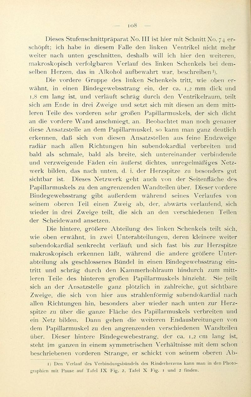 io8 Dieses Stufenschnittpräparat No. III ist hier mit Schnitt No. 74 er- schöpft; ich habe in diesem Falle den linken Ventrikel nicht mehr weiter nach unten geschnitten, deshalb will ich hier den weiteren, makroskopisch verfolgbaren Verlauf des linken Schenkels bei dem- selben Herzen, das in Alkohol aufbewahrt war, beschreiben1). Die vordere Gruppe des linken Schenkels tritt, wie oben er- wähnt, in einen Bindegewebsstrang ein, der ca. 1,2 mm dick und 1,8 cm lang ist, und verläuft schräg durch den Ventrikelraum, teilt sich am Ende in drei Zweige und setzt sich mit diesen an dem mitt- leren Teile des vorderen sehr großen Papillarmuskels, der sich dicht an die vordere Wand anschmiegt, an. Beobachtet man noch genauer diese Ansatzstelle an dem Papillarmuskel, so kann man ganz deutlich erkennen, daß sich von diesen Ansatzstellen aus feine Endzweige radiär nach allen Richtungen hin subendokardial verbreiten und bald als schmale, bald als breite, sich untereinander verbindende und verzweigende Fäden ein äußerst dichtes, unregelmäßiges Netz- werk bilden, das nach unten, d. i. der Herzspitze zu besonders gut sichtbar ist. Dieses Netzwerk geht auch von der Seitenfläche des Papillarmuskels zu den angrenzenden Wandteilen über. Dieser vordere Bindegewebsstrang gibt außerdem während seines Verlaufes von seinem oberen Teil einen Zweig ab, der, abwärts verlaufend, sich wieder in drei Zweige teilt, die sich an den verschiedenen Teilen der Scheidewand ansetzen. Die hintere, größere Abteilung des linken Schenkels teilt sich, wie oben erwähnt, in zwei Unterabteilungen, deren kleinere weiter subendokardial senkrecht verläuft und sich fast bis zur Herzspitze makroskopisch erkennen läßt, während die andere größere Unter- abteilung als geschlossenes Bündel in einen Bindegewebsstrang ein- tritt und schräg durch den Kammerhohlraum hindurch zum mitt- leren Teile des hinteren großen Papillarmuskels hinzieht. Sie teilt sich an der Ansatzstelle ganz plötzlich in zahlreiche, gut sichtbare Zweig-e, die sich von hier aus strahlenförmig subendokardial nach allen Richtungen hin, besonders aber wieder nach unten zur Herz- spitze zu über die ganze Fläche des Papillarmuskels verbreiten und ein Netz bilden. Dann gehen die weiteren Endausbreitungen von dem Papillarmuskel zu den angrenzenden verschiedenen Wandteilen über. Dieser hintere Bindegewebestrang, der ca. 1,2 cm lang- ist, steht im ganzen in einem symmetrischen Verhältnisse mit dem schon beschriebenen vorderen Strange, er schickt von seinem oberen Ab- 1) Den Verlauf des Verbindungsbündels des Rinderherzens kann man in den Photo- graphien mit Pause auf Tafel IX Fig. 2, Tafel X P'ig. i und 2 finden.