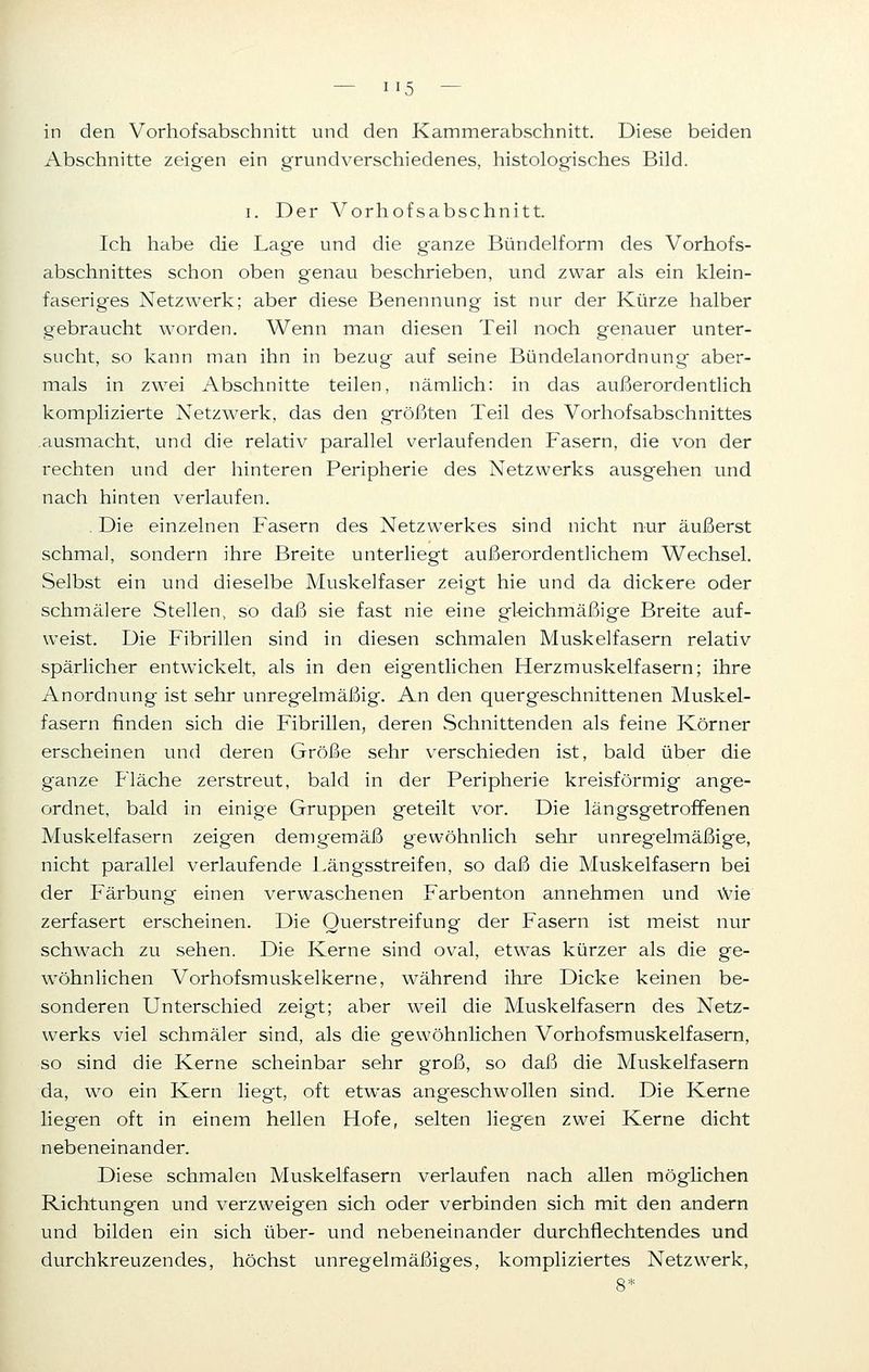 in den Vorhofsabschnitt und den Kammerabschnitt. Diese beiden Abschnitte zeigen ein grundverschiedenes, histologisches Bild. i. Der Vorhofsabschnitt. Ich habe die Lage und die ganze Bündelform des Vorhofs- abschnittes schon oben genau beschrieben, und zwar als ein klein- faseriges Netzwerk; aber diese Benennung ist nur der Kürze halber gebraucht worden. Wenn man diesen Teil noch genauer unter- sucht, so kann man ihn in bezug auf seine Bündelanordnung aber- mals in zwei Abschnitte teilen, nämlich: in das außerordentlich komplizierte Netzwerk, das den größten Teil des Vorhofsabschnittes ausmacht, und die relativ parallel verlaufenden Fasern, die von der rechten und der hinteren Peripherie des Netzwerks ausgehen und nach hinten verlaufen. Die einzelnen Fasern des Netzwerkes sind nicht nur äußerst schmal, sondern ihre Breite unterliegt außerordentlichem Wechsel. Selbst ein und dieselbe Muskelfaser zeigt hie und da dickere oder schmälere Stellen, so daß sie fast nie eine gleichmäßige Breite auf- weist. Die Fibrillen sind in diesen schmalen Muskelfasern relativ spärlicher entwickelt, als in den eigentlichen Herzmuskelfasern; ihre Anordnung ist sehr unregelmäßig. An den quergeschnittenen Muskel- fasern finden sich die Fibrillen, deren Schnittenden als feine Körner erscheinen und deren Größe sehr verschieden ist, bald über die ganze Fläche zerstreut, bald in der Peripherie kreisförmig ange- ordnet, bald in einige Gruppen geteilt vor. Die längsgetroffenen Muskelfasern zeigen demgemäß gewöhnlich sehr unregelmäßige, nicht parallel verlaufende Längsstreifen, so daß die Muskelfasern bei der Färbung einen verwaschenen Farbenton annehmen und wie zerfasert erscheinen. Die Querstreifung der Fasern ist meist nur schwach zu sehen. Die Kerne sind oval, etwas kürzer als die ge- wöhnlichen Vorhofsmuskelkerne, während ihre Dicke keinen be- sonderen Unterschied zeigt; aber weil die Muskelfasern des Netz- werks viel schmäler sind, als die gewöhnlichen Vorhofsmuskelfasern, so sind die Kerne scheinbar sehr groß, so daß die Muskelfasern da, wo ein Kern liegt, oft etwas angeschwollen sind. Die Kerne liegen oft in einem hellen Hofe, selten liegen zwei Kerne dicht nebeneinander. Diese schmalen Muskelfasern verlaufen nach allen möglichen Richtungen und verzweigen sich oder verbinden sich mit den andern und bilden ein sich über- und nebeneinander durchflechtendes und durchkreuzendes, höchst unregelmäßiges, kompliziertes Netzwerk,