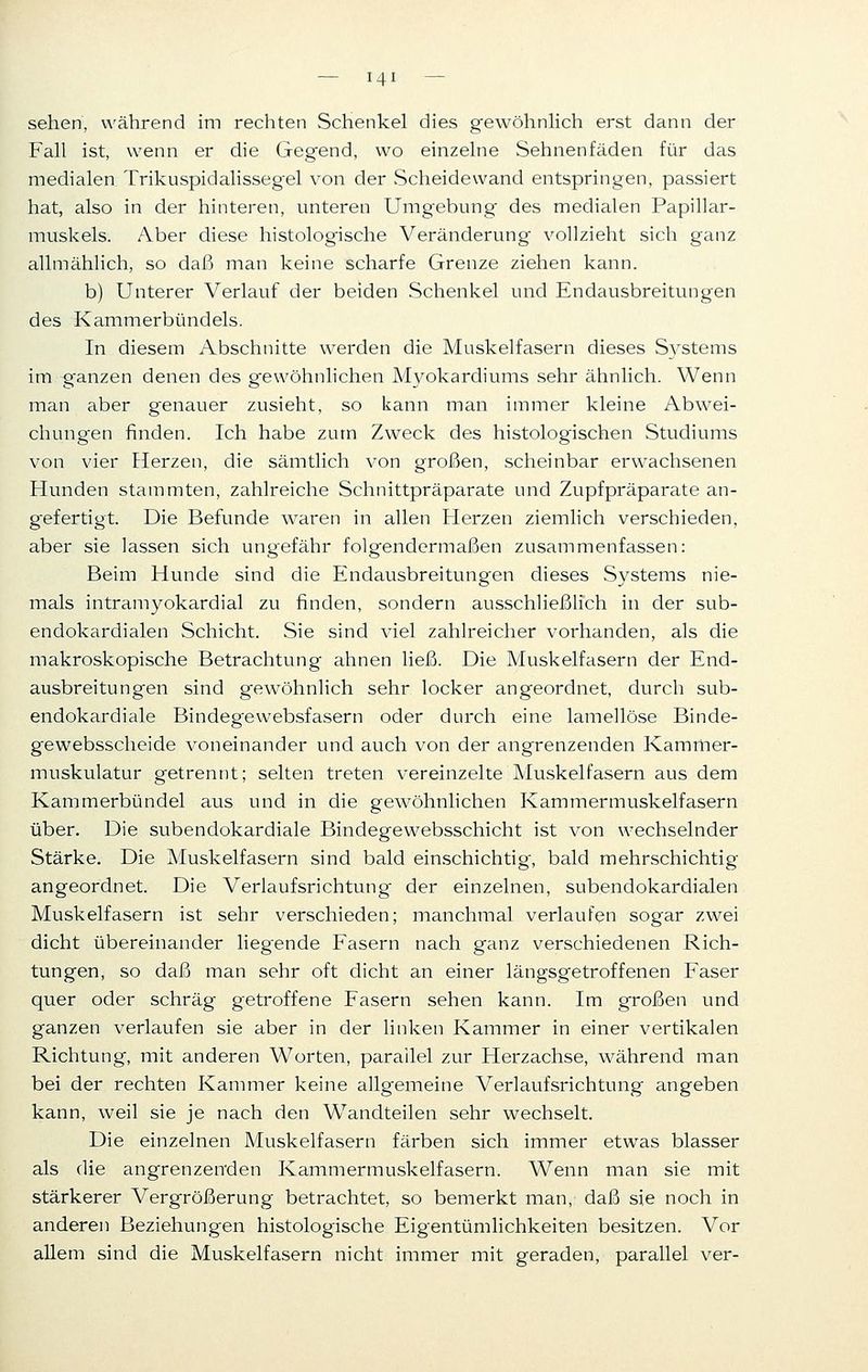 sehen, während im rechten Schenkel dies gewöhnlich erst dann der Fall ist, wenn er die Gegend, wo einzelne Sehnenfäden für das medialen Trikuspidalissegel von der Scheidewand entspringen, passiert hat, also in der hinteren, unteren Umgebung des medialen Papillar- muskels. Aber diese histologische Veränderung vollzieht sich ganz allmählich, so daß man keine scharfe Grenze ziehen kann. b) Unterer Verlauf der beiden Schenkel und Endausbreitungen des Kammerbündels. In diesem Abschnitte werden die Muskelfasern dieses Systems im ganzen denen des gewöhnlichen Myokardiums sehr ähnlich. Wenn man aber genauer zusieht, so kann man immer kleine Abwei- chungen finden. Ich habe zum Zweck des histologischen Studiums von vier Herzen, die sämtlich von großen, scheinbar erwachsenen Hunden stammten, zahlreiche Schnittpräparate und Zupfpräparate an- gefertigt. Die Befunde waren in allen Herzen ziemlich verschieden, aber sie lassen sich ungefähr folgendermaßen zusammenfassen: Beim Hunde sind die Endausbreitungen dieses Systems nie- mals intramyokardial zu finden, sondern ausschließlich in der sub- endokardialen Schicht. Sie sind viel zahlreicher vorhanden, als die makroskopische Betrachtung ahnen ließ. Die Muskelfasern der End- ausbreitungen sind gewöhnlich sehr locker angeordnet, durch sub- endokardiale Bindegewebsfasern oder durch eine lamellöse Binde- gewebsscheide voneinander und auch von der angrenzenden Kammer- muskulatur getrennt; selten treten vereinzelte Muskelfasern aus dem Kammerbündel aus und in die gewöhnlichen Kammermuskelfasern über. Die subendokardiale Bindegewebsschicht ist von wechselnder Stärke. Die Muskelfasern sind bald einschichtig, bald mehrschichtig angeordnet. Die Verlaufsrichtung der einzelnen, subendokardialen Muskelfasern ist sehr verschieden; manchmal verlaufen sogar zwei dicht übereinander liegende Fasern nach ganz verschiedenen Rich- tungen, so daß man sehr oft dicht an einer längsgetroffenen Faser quer oder schräg getroffene Fasern sehen kann. Im großen und ganzen verlaufen sie aber in der linken Kammer in einer vertikalen Richtung, mit anderen Worten, parallel zur Herzachse, während man bei der rechten Kammer keine allgemeine Verlaufsrichtung angeben kann, weil sie je nach den Wandteilen sehr wechselt. Die einzelnen Muskelfasern färben sich immer etwas blasser als die angrenzenden Kammermuskelfasern. Wenn man sie mit stärkerer Vergrößerung betrachtet, so bemerkt man, daß sie noch in anderen Beziehungen histologische Eigentümlichkeiten besitzen. Vor allem sind die Muskelfasern nicht immer mit geraden, parallel ver-