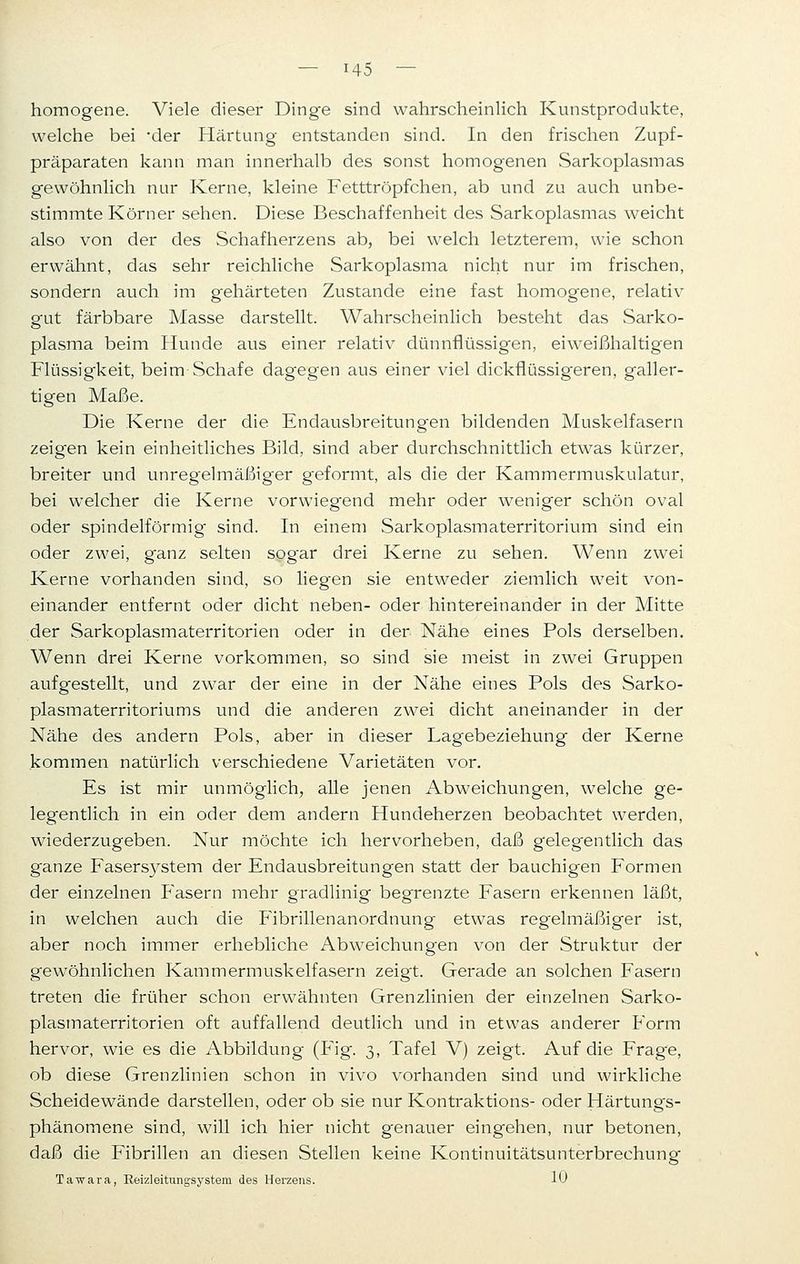 homogene. Viele dieser Dinge sind wahrscheinlich Kunstprodukte, welche bei der Härtung entstanden sind. In den frischen Zupf- präparaten kann man innerhalb des sonst homogenen Sarkoplasmas gewöhnlich nur Kerne, kleine Fetttröpfchen, ab und zu auch unbe- stimmte Körner sehen. Diese Beschaffenheit des Sarkoplasmas weicht also von der des Schafherzens ab, bei welch letzterem, wie schon erwähnt, das sehr reichliche Sarkoplasma nicht nur im frischen, sondern auch im gehärteten Zustande eine fast homogene, relativ' gut färbbare Masse darstellt. Wahrscheinlich besteht das Sarko- plasma beim Hunde aus einer relativ dünnflüssigen, eiweißhaltigen Flüssig'keit, beim-Schafe dagegen aus einer viel dickflüssigeren, galler- tigen Maße. Die Kerne der die Endausbreitungen bildenden Muskelfasern zeigen kein einheitliches Bild, sind aber durchschnittlich etwas kürzer, breiter und unregelmäßiger geformt, als die der Kammermuskulatur, bei welcher die Kerne vorwiegend mehr oder weniger schön oval oder spindelförmig sind. In einem Sarkoplasmaterritorium sind ein oder zwei, ganz selten sogar drei Kerne zu sehen. Wenn zwei Kerne vorhanden sind, so liegen sie entweder ziemlich weit von- einander entfernt oder dicht neben- oder hintereinander in der Mitte der Sarkoplasmaterritorien oder in der Nähe eines Pols derselben. Wenn drei Kerne vorkommen, so sind sie meist in zwei Gruppen aufgestellt, und zwar der eine in der Nähe eines Pols des Sarko- plasmaterritoriums und die anderen zwei dicht aneinander in der Nähe des andern Pols, aber in dieser Lagebeziehung der Kerne kommen natürlich verschiedene Varietäten vor. Es ist mir unmöglich, alle jenen Abweichungen, welche ge- legentlich in ein oder dem andern Hundeherzen beobachtet werden, wiederzugeben. Nur möchte ich hervorheben, daß gelegentlich das ganze Fasersystem der Endausbreitungen statt der bauchigen Formen der einzelnen Fräsern mehr gradlinig begrenzte Fasern erkennen läßt, in welchen auch die Fibrillenanordnung etwas regelmäßiger ist, aber noch immer erhebliche Abweichungen von der Struktur der gewöhnlichen Kammermuskelfasern zeigt. Gerade an solchen Fasern treten die früher schon erwähnten Grenzlinien der einzelnen Sarko- plasmaterritorien oft auffallend deutlich und in etwas anderer Form hervor, wie es die Abbildung (Fig. 3, Tafel V) zeigt. Auf die Frage, ob diese Grenzlinien schon in vivo vorhanden sind und wirkliche Scheidewände darstellen, oder ob sie nur Kontraktions- oder Härtungs- phänomene sind, will ich hier nicht genauer eingehen, nur betonen, daß die Fibrillen an diesen Stellen keine Kontinuitätsunterbrechung Tawara, Keizleitungsystem des Herzens. 10