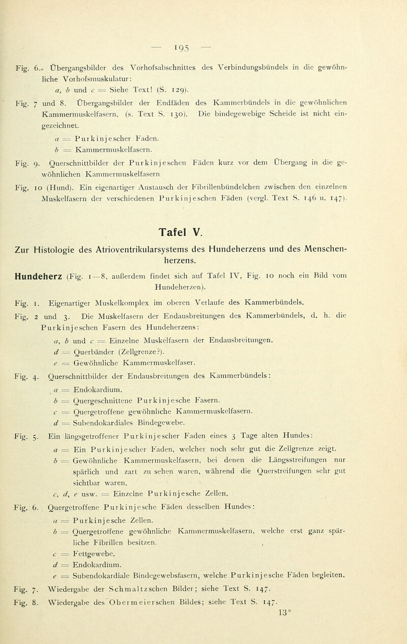 195 Fig. 6.- Übergangsbilder des Vorhofsabschnittes des Verbindungsbündels in die gewöhn- liche Vorhofsmuskulatur: a, b und c = Siehe Text! (S. 129). Fig. 7 und 8. Übergangsbilder der Endfäden des Kammerbündels in die gewöhnlichen Kammermuskelfasern, (s. Text S. 130). Die bindegewebige Scheide ist nicht ein- gezeichnet. a = Purkinj escher Faden. b = Kammermuskelfasern. Fig. 9. Querschnittbilder der Purkinj eschen Fäden kurz vor dem Übergang in die ge- wöhnlichen Kammermuskelfasern. Fig. 10 (Hund). Ein eigenartiger Austausch der Fibrillenbündelchen zwischen den einzelnen Muskelfasern der verschiedenen Purkinj eschen Fäden (vergl. Text S. 146 u. 147). Tafel V. Zur Histologie des Atrioventrikularsystems des Hundeherzens und des Menschen- herzens. Hundeherz (Fig. I—8, außerdem findet sich auf Tafel IV, Fig. 10 noch ein Bild vom Hundeherzen). Fig. I. Eigenartiger Muskelkomplex im oberen Verlaufe des Kammerbündels. Fig. 2 und 3. Die Muskelfasern der Endausbreitungen des Kammerbündels, d. h. die Purkinj eschen Fasern des Hundeherzens: a, b und c = Einzelne Muskelfasern der Endausbreitungen. d = Querbänder (Zellgrenze?). e = Gewöhnliche Kammermuskelfaser. Fig. 4. Querschnittbilder der Endausbreitungen des Kammerbündels: a = Endokardium. b = Quergeschnittene Purkinj esche Fasern. c = Quergetroffene gewöhnliche Kammermuskelfasern. d = Subendokardiales Bindegewebe. Fig. 5. Ein längsgetroffener Purkinj escher Faden eines 3 Tage alten Hundes: a = Ein Purkinj escher Faden, welcher noch sehr gut die Zellgrenze zeigt. b = Gewöhnliche Kammermuskelfasern, bei denen die Längsstreifungen nur spärlich und zart zu sehen waren, während die Querstreifungen sehr gut sichtbar waren. c, d, e usw. = Einzelne Purkinj esche Zellen. Fig. 6. Quergetroffene Purkinjesche Fäden desselben Hundes: a = Purkinjesche Zellen. b = Quergetroffene gewöhnliche Kammermuskelfasern, welche erst ganz spär- liche Fibrillen besitzen. c = Fettgewebe. d = Endokardium. e = Subendokardiale Bindegewebsfasern, welche Purkinjesche Fäden begleiten. Fig. 7. Wiedergabe der Schmaltzschen Bilder; siehe Text S. 147. Fig. 8. Wiedergabe des Oberm eierschen Bildes; siehe Text S. 147. 13*