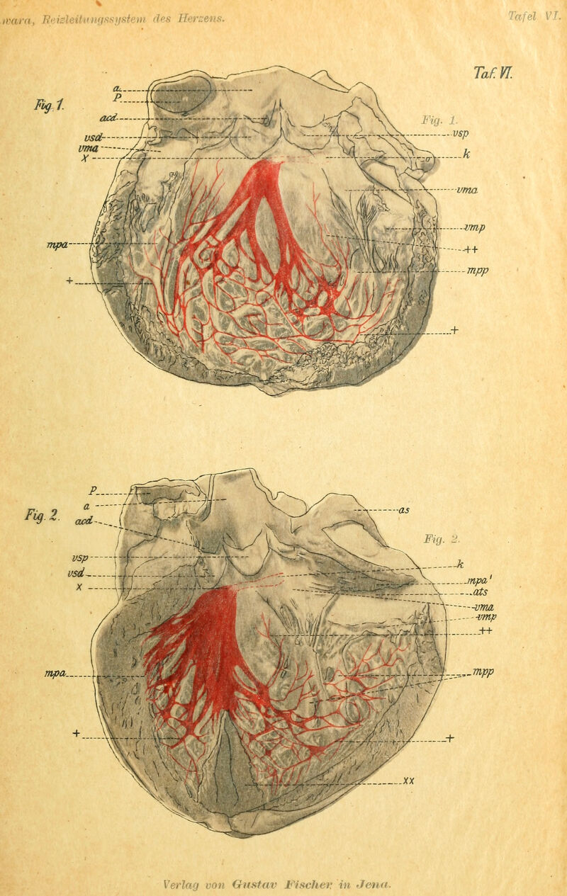 wara, Reieleitungsi s Herzens Fig. 2. mpa ..ats mpa. j.r^___t_