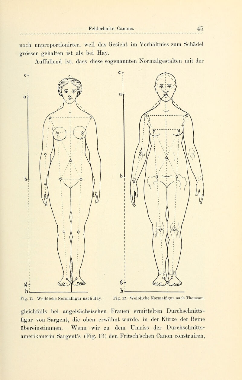 noch unproportionirter, weil das Gesicht im Verhältniss zum Schädel grösser gehalten ist als bei Hay. Auffallend ist, dass diese sogenannten Normalgestalten mit der Fig. 11. Weibliche Normalflgur nach Hay. Fig. 12. Weibliche Normalfigur nach Thomson. gleichfalls bei angelsächsischen Frauen ermittelten Durchschnitts- figur von Sargent, die oben erwähnt wurde, in der Kürze der Beine übereinstimmen. Wenn wir zu dem Umriss der Durchschnitts- amerikanerin Sargent's (Fig. 13) den Fritsch'schen Canon construiren.