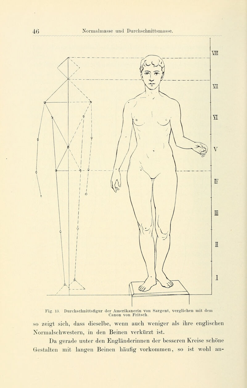 Normalmasse und Durchschnittsm.asse. Fig. 13. Durclisclinittsfigur der Amerikanerin von Sargent, verglichen mit dem Canon von Fritsch. SO zeigt sicli, dass dieselbe, wenn auch weniger als ihre englischen Normalschwestern, in den Beinen verkürzt ist. Da gerade unter den Engländerinnen der besseren Kreise schöne Gestalten mit langen Beinen häufig vorkommen, so ist wohl an-