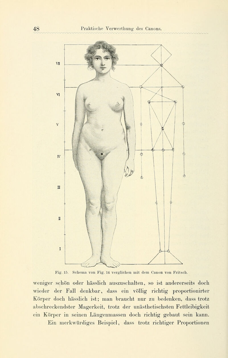 Fig. 15. Schema von Fig. 14 vergliclien mit dem Canon von Fritscli. weniger schön oder liässlich auszuschalten, so ist andererseits doch wieder der Fall denkbar, dass ein völlig richtig proportionirter Körper doch hässlich ist; man braucht nur zu bedenken, dass trotz abschreckendster Magerkeit, trotz der unästhetischsten Fettleibigkeit ein Körper in seinen Längenmassen doch richtig gebaut sein kann. Ein merkwürdiges Beispiel, dass trotz richtiger Proportionen