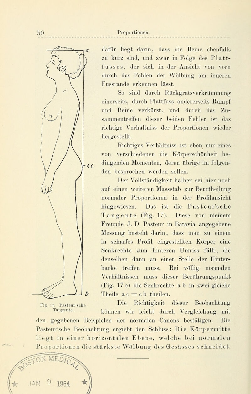 dafür liegt darin, dass die Beine ebenfalls zu kurz sind, und zwar in Folge des Platt- fusses, der sich, in der Ansicht von vorn durch das Fehlen der Wölbung am inneren Fussrande erkennen lässt. So sind durch Rückgratsverkrümmung einerseits, durcb Flattfuss andererseits Rumpf und Beine verkürzt, und durch das Zu- sammentreffen dieser beiden Fehler ist das richtige Yerhältniss der Proportionen wieder hergestellt. Richtiges Verhältniss ist eben nur eines von verschiedenen die Körperscbönheit be- dingenden Momenten, deren übrige im folgen- den besprochen werden sollen. Der Vollständigkeit halber sei hier noch auf einen weiteren Massstab zur Beurtheilung normaler Proportionen in der Profilansicht hingewiesen. Das ist die Pasteur'sche Tangente (Fig. 17). Diese von meinem Freunde J. D. Pasteur in Batavia angegebene Messung besteht darin, dass man zu einem in scharfes Profil eingestellten Körper eine Senkrechte zum hinteren Umriss fällt, die denselben dann an einer Stelle der Hinter- backe treffen muss. Bei völlig normalen Verhältnissen muss dieser Berührungspunkt (Fig. 17 c) die Senkrechte ab in zwei gleiche Theile a c = c b theilen. Die Richtigkeit dieser Beobachtung können wir leicht durch Vergleichung mit den gegebenen Beispielen der normalen Canons bestätigen. Die Pasteur'sche Beobachtung ergiebt den Schluss: Die Körpermitte liegt in einer horizontalen Ebene, welche bei normalen Proportionen die s.*tärkste Wölbung des Gesässes schneidet. Fi£ 17. Pasteur'sclie Tangente. y^^^^^MEDtQ ^ JAN