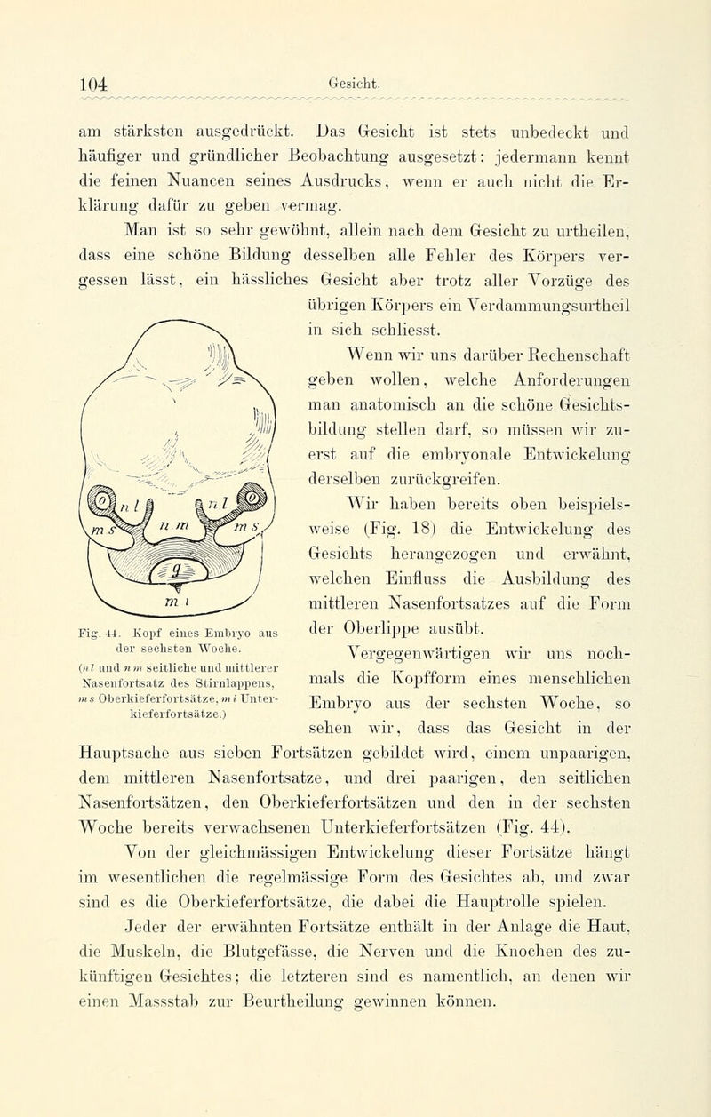 am stärksten ausgedrückt. Das Gresickt ist stets unbedeckt und häufiger und gründlicher Beobachtung ausgesetzt: jedermann kennt die feinen Nuancen seines Ausdrucks, wenn er auch nicht die Er- klärung dafür zu geben vermag. Man ist so sehr gewöhnt, allein nach dem Gesicht zu urtheilen, dass eine schöne Bildung desselben alle Fehler des Körpers ver- gessen lässt, ein hässliches Gesicht aber trotz aller Vorzüge des übrigen Körpers ein Verdammungsurtheil in sich schliesst. Wenn wir uns darüber Rechenschaft geben wollen, welche Anforderungen man anatomisch an die schöne Gesichts- bildung stellen darf, so müssen wir zu- erst auf die embryonale Entwickelung derselben zurückgreifen. Wir haben bereits oben beispiels- weise (Fig. 18) die Entwickelung des Gesichts herangezogen und erwähnt, welchen Einfluss die Ausbildung des mittleren Nasenfortsatzes auf die Form der Oberlippe ausübt. Vergegenwärtigen wir uns noch- mals die Kopfform eines menschlichen Embryo aus der sechsten Woche, so sehen wir, dass das Gesicht in der Hauptsache aus sieben Fortsätzen gebildet wird, einem unpaarigen, dem mittleren Nasenfortsatze, und drei paarigen, den seitlichen Nasenfortsätzen, den Oberkieferfortsätzen und den in der sechsten Woche bereits verwachsenen Unterkieferfortsätzen (Fig. 44). Von der gleichmässigen Entwickelung dieser Fortsätze hängt im wesentlichen die regelmässige Form des Gesichtes ab, und zwar sind es die Oberkieferfortsätze, die dabei die Hauptrolle spielen. Jeder der erwähnten Fortsätze enthält in der Anlage die Haut, die Muskeln, die Blutgefässe, die Nerven und die Knochen des zu- künftigen Gesichtes; die letzteren sind es namentlich, an denen wir einen Massstab zur Beurtheilung gewinnen können. Fig. -14. Kopf eines Embrj'O aus der sechsten Woclie. (iil und n m seitliche und mittlerer Nasenfortsatz des Stirnlappens, ms Oberkieferfortsätze, mi Unter- kieferfortsätze.)