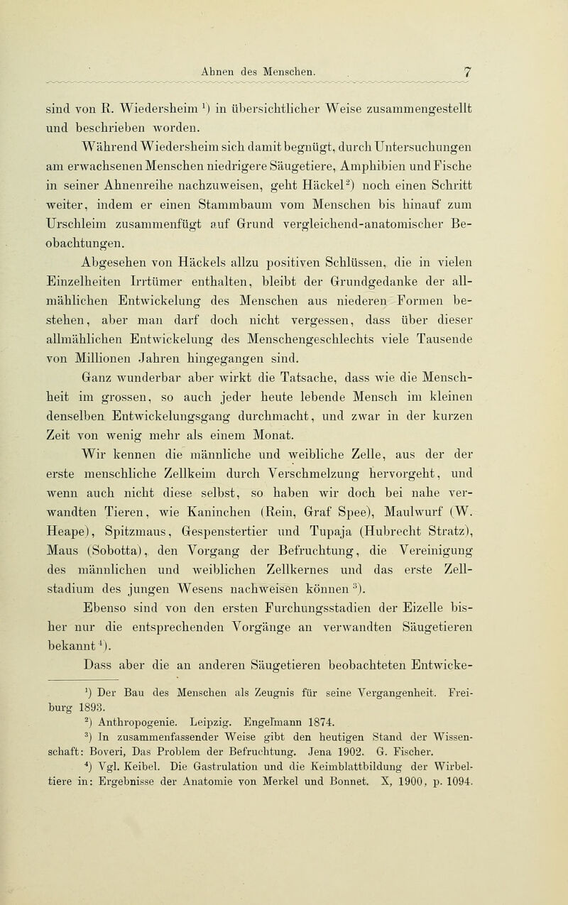 Ahnen des Menschen. sind von R. Wiedersheim r) in übersichtlicher Weise zusammengestellt und beschrieben worden. Während Wiedersheim sich damit begnügt, durch Untersuchungen am erwachsenen Menschen niedrigere Säugetiere, Amphibien und Fische in seiner Ahnenreihe nachzuweisen, geht Häckel2) noch einen Schritt weiter, indem er einen Stammbaum vom Menschen bis hinauf zum Urschleim zusammenfügt auf Grund vergleichend-anatomischer Be- obachtungen. Abgesehen von Häckels allzu positiven Schlüssen, die in vielen Einzelheiten Irrtümer enthalten, bleibt der Grundgedanke der all- mählichen Entwickelung des Menschen aus niederen Formen be- stehen, aber man darf doch nicht vergessen, dass über dieser allmählichen Entwickelung des Menschengeschlechts viele Tausende von Millionen Jahren hingegangen sind. Ganz wunderbar aber wirkt die Tatsache, dass wie die Mensch- heit im grossen, so auch jeder heute lebende Mensch im kleinen denselben Entwickelungsgang durchmacht, und zwar in der kurzen Zeit von wenig mehr als einem Monat. Wir kennen die männliche und weibliche Zelle, aus der der erste menschliche Zellkeim durch Verschmelzung hervorgeht, und wenn auch nicht diese selbst, so haben wir doch bei nahe ver- wandten Tieren, wie Kaninchen (Rein, Graf Spee), Maulwurf (W. Heape), Spitzmaus, Gespenstertier und Tupaja (Hubrecht Stratz), Maus (Sobotta), den Vorgang der Befruchtung, die Vereinigung des männlichen und weiblichen Zellkernes und das erste Zell- stadium des jungen Wesens nachweisen können 3). Ebenso sind von den ersten Furchungsstadien der Eizelle bis- her nur die entsprechenden Vorgänge an verwandten Säugetieren bekannt4). Dass aber die an anderen Säugetieren beobachteten Entwicke- 1) Der Bau des Menschen als Zeugnis für seine Vergangenheit. Frei- burg 1893. 2) Anthropogenie. Leipzig. Engelniann 1874. 3) In zusammenfassender Weise gibt den heutigen Stand der Wissen- schaft: Boveri, Das Problem der Befruchtung. Jena 1902. G. Fischer. 4) Vgl. Keibel. Die Gastrulation und die Keimblattbildung der Wirbel- tiere in: Ergebnisse der Anatomie von Merkel und Bonnet. X, 1900, p. 1094.