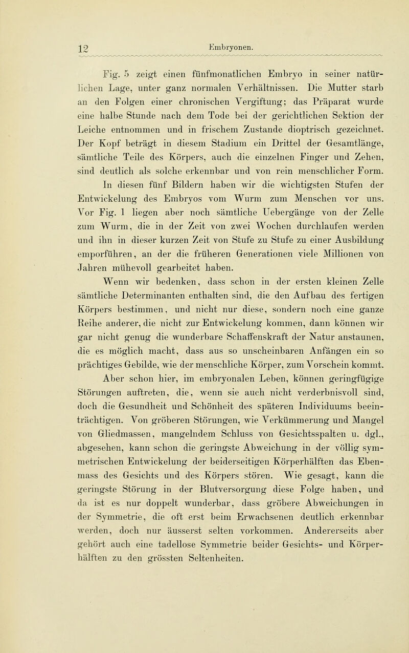 Fig. 5 zeigt einen fünfmonatlichen Embryo in seiner natür- lichen Lage, unter ganz normalen Verhältnissen. Die Mutter starb an den Folgen einer chronischen Vergiftung; das Präparat wurde eine halbe Stunde nach dem Tode bei der gerichtlichen Sektion der Leiche entnommen und in frischem Zustande dioptrisch gezeichnet. Der Kopf beträgt in diesem Stadium ein Drittel der Gesamtlänge, sämtliche Teile des Körpers, auch die einzelnen Finger und Zehen, sind deutlich als solche erkennbar und von rein menschlicher Form. In diesen fünf Bildern haben wir die wichtigsten Stufen der Entwickelung des Embryos vom Wurm zum Menschen vor uns. Vor Fig. 1 liegen aber noch sämtliche Uebergänge von der Zelle zum Wurm, die in der Zeit von zwei Wochen durchlaufen werden und ihn in dieser kurzen Zeit von Stufe zu Stufe zu einer Ausbildung emporführen, an der die früheren Generationen viele Millionen von Jahren mühevoll gearbeitet haben. Wenn wir bedenken, dass schon in der ersten kleinen Zelle sämtliche Determinanten enthalten sind, die den Aufbau des fertigen Körpers bestimmen, und nicht nur diese, sondern noch eine ganze Reihe anderer, die nicht zur Entwickelung kommen, dann können wir gar nicht genug die wunderbare Schaffenskraft der Natur anstaunen, die es möglich macht, dass aus so unscheinbaren Anfängen ein so prächtiges Gebilde, wie der menschliche Körper, zum Vorschein kommt. Aber schon hier, im embryonalen Leben, können geringfügige Störungen auftreten, die, wenn sie auch nicht verderbnisvoll sind, doch die Gesundheit und Schönheit des späteren Individuums beein- trächtigen. Von gröberen Störungen, wie Verkümmerung und Mangel von Gliedmassen, mangelndem Schluss von Gesichtsspalten u. dgl., abgesehen, kann schon die geringste Abweichung in der völlig sym- metrischen Entwickelung der beiderseitigen Körperhälften das Eben- mass des Gesichts und des Körpers stören. Wie gesagt, kann die geringste Störung in der Blutversorgung diese Folge haben, und da ist es nur doppelt wunderbar, dass gröbere Abweichungen in der Symmetrie, die oft erst beim Erwachsenen deutlich erkennbar werden, doch nur äusserst selten vorkommen. Andererseits aber gehört auch eine tadellose Symmetrie beider Gesichts- und Körper- hälften zu den grössten Seltenheiten.