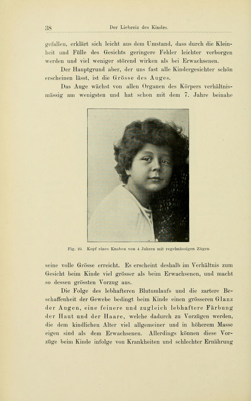 gefallen, erklärt sich leicht aus dem Umstand, dass durch die Klein- heit und Fülle des Gesichts geringere Fehler leichter verborgen werden und viel weniger störend wirken als bei Erwachsenen. Der Hauptgrund aber, der uns fast alle Kindergesichter schön erscheinen lässt, ist die Grösse des Auges. Das Auge wächst von allen Organen des Körpers verhältnis- mässig am wenigsten und hat schon mit dem 7. Jahre beinahe Fig. 23. Kopf eines Knaben von 4 Jahren mit regelmässigen Zügen. seine volle Grösse erreicht. Es erscheint deshalb im Verhältnis zum Gesicht beim Kinde viel grösser als beim Erwachsenen, und macht so dessen grössten Vorzug aus. Die Folge des lebhafteren Blutumlaufs und die zartere Be- schaffenheit der Gewebe bedingt beim Kinde einen grösseren Glanz der Augen, eine feinere und zugleich lebhaftere Färbung der Haut und der Haare, welche dadurch zu Vorzügen werden, die dem kindlichen Alter viel allgemeiner und in höherem Masse eigen sind als dem Erwachsenen. Allerdings können diese Vor- züge beim Kinde infolge von Krankheiten und schlechter Ernähruno;