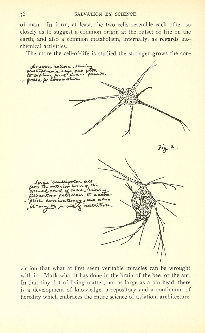 of man. In form, at least, the two cells resemble each other so closely as to suggest a common origin at the outset of life on the earth, and also a common metabolism, internally, as regards bio- chemical activities. The more the cell-of-life is studied the stronger grows the con- l^tM«e/tr^x *ftt^i.'***\. •a- 2- . LCV*t. viction that what at first seem veritable miracles can be wrought with it. Mark what it has done in the brain of the bee, or the ant. In that tiny dot of living matter, not as large as a pin head, there is a development of knowledge, a repository and a continuum of heredity which embraces the entire science of aviation, architecture.