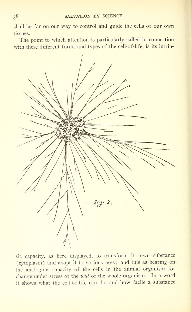 shall be far on our way to control and guide the cells of our own tissues. The point to which attention is particularly called in connection with these different forms and types of the cell-of-life, is its intrin- sic capacity, as here displayed, to transform its own substance (cytoplasm) and adapt It to various uses; and this as bearing on the analogous capacity of the cells in the animal organism for change imder stress of the will of the whole organism. In a word it shows what the cell-of-life can do, and how facile a substance