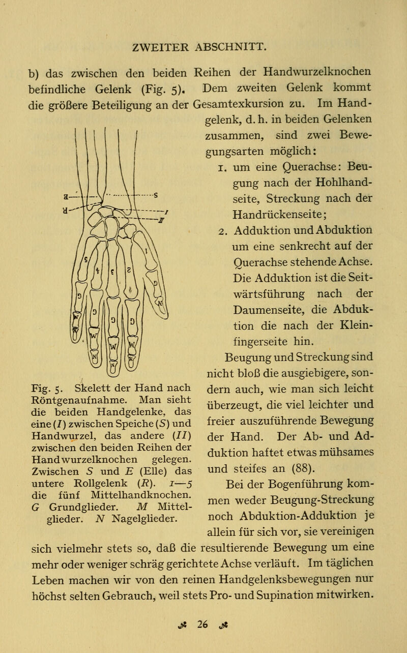 b) das zwischen den beiden Reihen der Handwurzelknochen befindliche Gelenk (Fig. 5). Dem zweiten Gelenk kommt die größere Beteiligung an der Gesamtexkursion zu. Im Hand- gelenk, d. h. in beiden Gelenken zusammen, sind zwei Bewe- gungsarten möglich: 1. um eine Querachse: Beu- gung nach der Hohlhand- seite, Streckung nach der Handrückenseite; 2. Adduktion und Abduktion um eine senkrecht auf der Querachse stehende Achse. Die Adduktion ist die Seit- wärtsführung nach der Daumenseite, die Abduk- tion die nach der Klein- fingerseite hin. Beugung und Streckung sind nicht bloß die ausgiebigere, son- dern auch, wie man sich leicht überzeugt, die viel leichter und freier auszuführende Bewegung der Hand. Der Ab- und Ad- duktion haftet etwas mühsames und steifes an (88). Bei der Bogenführung kom- men weder Beugung-Streckung noch Abduktion-Adduktion je Fig. 5. Skelett der Hand nach Röntgenaufnahme. Man sieht die beiden Handgelenke, das eine (7) zwischen Speiche (5) und Handwurzel, das andere {II) zwischen den beiden Reihen der Hand wurzelknochen gelegen. Zwischen 5 und E (Elle) das untere Rollgelenk (R). 1—5 die fünf Mittelhandknochen. G Grundglieder. M Mittel- glieder. N Nagelglieder. allein für sich vor, sie vereinigen sich vielmehr stets so, daß die resultierende Bewegung um eine mehr oder weniger schräg gerichtete Achse verläuft. Im täglichen Leben machen wir von den reinen Handgelenksbewegungen nur höchst selten Gebrauch, weil stets Pro- und Supination mitwirken.