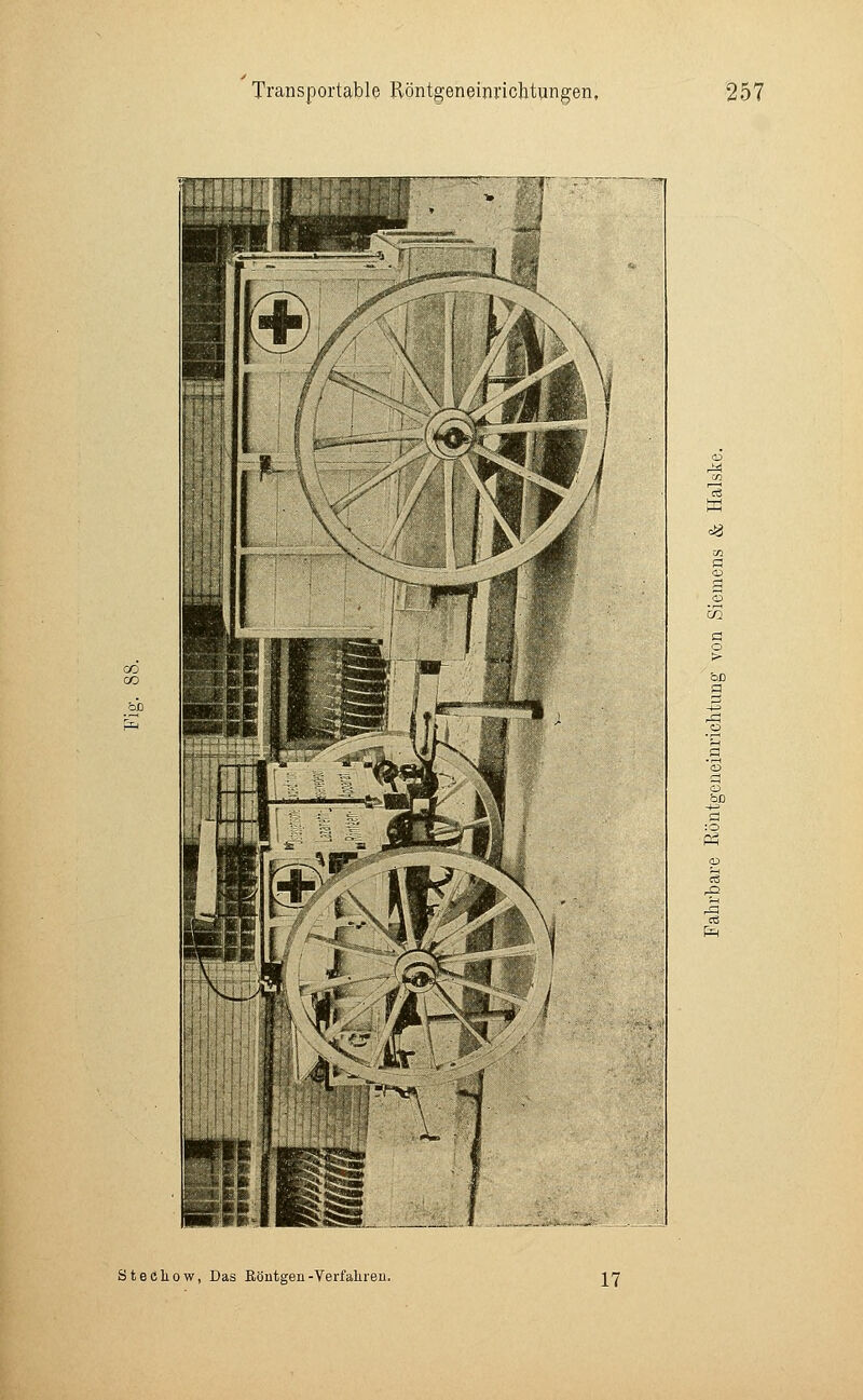 w & Steckow, Das Röntgen-Verfaliren. 17