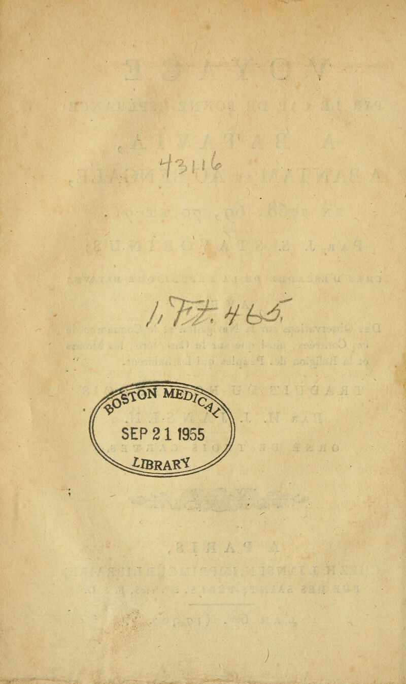 il>l:n // iferT ^ é0>