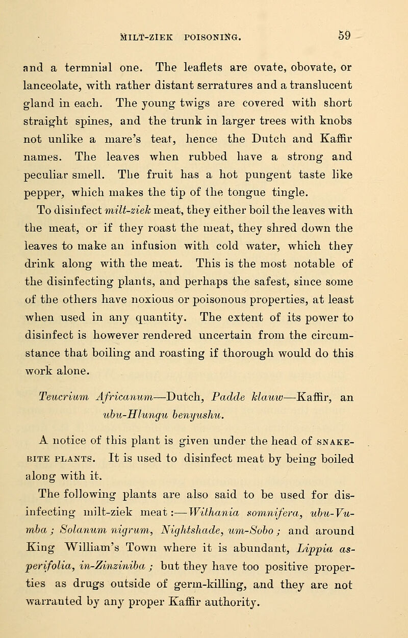 and a termnial one. The leaflets are ovate, obovate, or lanceolate, with rather distant serratures and a translucent gland in each. The young twigs are covered with short straight spines, and the trunk in larger trees with knobs not unlike a mare's teat, hence the Dutch and Kaffir names. The leaves when rubbed have a strong and peculiar smell. The fruit has a hot pungent taste like pepper, which makes the tip of the tongue tingle. To disinfect milt-ziek meat, they either boil the leaves with the meat, or if they roast the meat, they shred down the leaves to make an infusion with cold water, which they drink along with the meat. This is the most notable of the disinfecting plants, and perhaps the safest, since some of the others have noxious or poisonous properties, at least when used in any quantity. The extent of its power to disinfect is however rendered uncertain from the circum- stance that boiling and roasting if thorough would do this work alone. Teucrium Africanwm—Dutch, Padde Mauw—-Kaffir, an ubu-Hlungu benyushu. A notice of this plant is given under the head of snake- bite plants. It is used to disinfect meat by being boiled along with it. The following plants are also said to be used for dis- infecting milt-ziek meat:—Withania somnifera, ubu-Vu- mba ; Solanum nigrum, Nightshade, um-Sobo ; and around King William's Town where it is abundant, Lippia as- perifolia, in-Zinziniba ; but they have too positive proper- ties as drugs outside of germ-killing, and they are not warranted by any proper Kaffir authority.