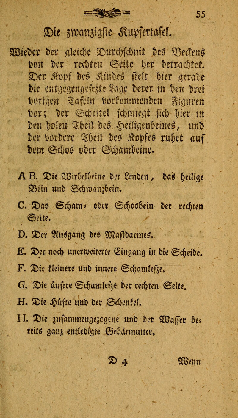 § 55 2Biel>er i)er öictcbe ©utcl)fd)mt t)cS ^cdm§ Don !)cr xtdjtm (^üU l)tt httad:^ut SDcr Ji'opf kö.Äüiteö ftelt 5tcr gerak ite enti]escitiicfeste Sage terer in !)en im \)dxüim Zaftln i^orfonimcnben giguren Der; kr @cl}iitel fitmköt IM) l)m in im l)dkn Z^-til bcf ^tüwnMnt^, iiitfe ter i^Dikre Z^tü it^ ^opfeg ru^et auf i>em @cf)0ö ot'er @d)amkme» A B. Sie ^irüelBetne ter ßenben, tc^i l^etfige 95etn unb @c^man^6ein» C. 3)a6 @c(;am/ obet ©c^o^Bein^ tec rechten D. SE)cc ^(u^gang bee 95?aj!&armc^» E. 3)et: noc^ nmtmimtt Sin^ang in bie ©ererbe* F. Sie ficincre wnb innere ©c^amrefje» G. Sie dufere ©c^amlefje ber teilten ©eife* H. Sie ^ufte tmb bec ©c^enfcL IL Sie ^ufammencje^o^aie unb bet SSJaffer Ui nit^ ganj entlebi^te ©e&drmutter» S 4 SBenn