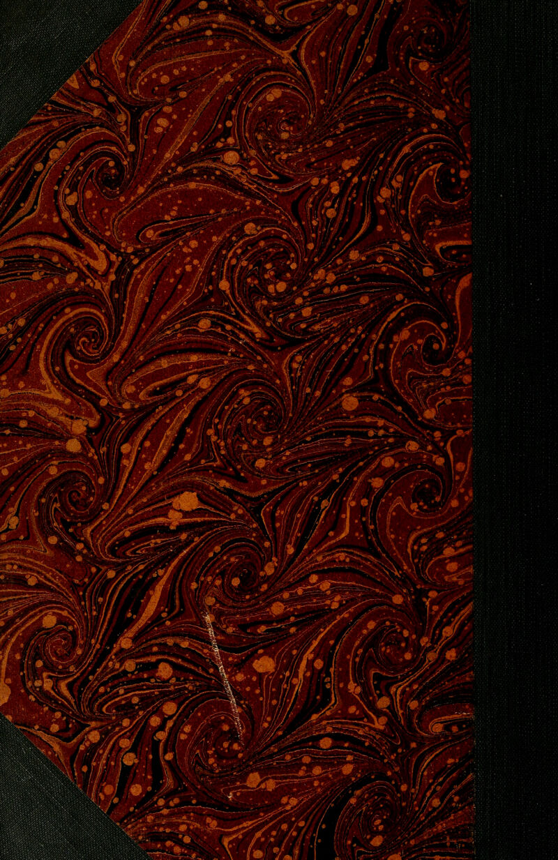 i>i/^/^A:^ i/^^ M:^-*^ -iS^^^^^: