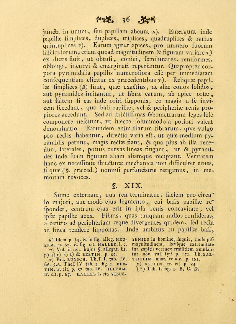 jiinda iii iiniim, feu papillam abeunt u). Emcrgunt inde papillse fimplices, duplices, triplices, quadruplices & rarius quintiiplices v). Earum igitur apices, pro numero fuorum fafciculorum, etiam quoad magnitudinem & figuram variarex) ex didlis fluic, ut obtufi, conici, femilunares, reniformes, oblongi, incurvi & emarginati reperiantur. Quapropter cor- pora pyramidalia papillis numerofiora elfe per immediatam confequentiam elicitur ex praecedentibus y). Reliquae papil- loe fimplices (0) funt, quae exadius, ac aliae conos folidos , aut pyramides imitantur, ut fibrse earum, ab apice ortx , aut faltem fi eas inde oriri fupponis, eo magis a fe invi- cem fecedant, quo bafi papillje, vel & peripheriae renis pro- piores accedant. Sed ad ftridiflimas Geomttrarum leges fefe componere nefciunt, ut haecce folummodo a potiori valeat denominatio. Earundem eniniillarum fibrarum, quce vulgo pro redis habentur, diredlio varia eft, ut quse medium py- ramidis petunt^ magis redse fiant, & quo plus ab illa rece- dunt laterales, potius curvas lineas fingant, ut & pyrami- des inde fuam figuram aliam aliamque recipiant. Veritatem hanc ex necefiitate ftrudurae mechanica iion difficuher erueSj ilqu3e(§. prseced.) nonnifi perfundorie tetigimusj in me- nioriam revoces. §. XIX. Sume externam, qua ren terminatur, faciem pro circu lo majori, aut modo ejus fegmento, cui bafis papillse re fpondet, centrum ejus erit in ipfa renis concavitate , vel ipfse papillae apex. Fibras, quas tanquam radios confideras, a centro ad peripheriam aeque divergentes quidem, fed reda in linea tendere fupponas. Inde ambitus in papill^e bafi, ji) Idem p. 85- & i fig- alleg. HEU- SENius in honiine, inquit, mole pifi ERM. p. 67. & tig. cit. HALLER. 1. c. magnitudinem, loevique extremitate -y) Vid. in not. hujiis §. allegat. lit. fiia capitis verrucs craffitiem smulan- p) ^) 0 0 0 ^ BEETINT. p. Sj<i- tur. nov. vaf. fyft. p. 172. Th. BAil- X) Vid. RUYSCH. Thef. I. tab. IV. tholin. anat. renov. p, i8i. fi*. 3.6. Thef. IV. tab. i. fig. i. ber- y) bertin. tr. cit. p. 84. TiN.tr. cit. p. 87- tab. IV. HEUERM. (/S) Tab. I. fig. i. B» C. D.