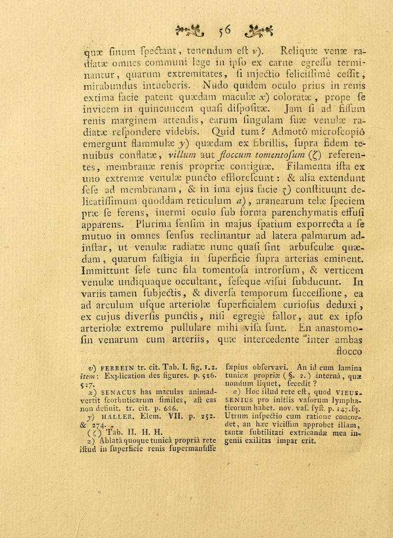 qux finum fpedaiit, tenendum e?z v). Reliqu^ venae ra- tliatx omues communi lege iu ipfo ex carue egreiru termi- iiautur, quarum extremitates, tl nijeclio felicillime ceilit, mirabuiidus iutueberis. Nudo quidem oculo prius in renis excima facie patent quxdam maculx x) coloratx , propefe invicem in quincuncem quafi difpofitae. Jam fi ad^fiiTuni renis marginem attendis, earum fingulam fuae venulse ra- diatx refpondere videbis. Qiiid tum ? Adraoto microfcopio emergunt flammute y) qusedam ex fibrillis, fupra fidem te- nuibus condatae, villuin ^ut fioccum tommtofum (J^) referen- tes, membranse renis proprize contiguse. Filamenta ifta ex uno extrerase venulse puncl;o efHorefcunt: & alia extendunt fefe ad merabranam , & in ima ejus facie :{) conftituunt de- licatiilimum quoddam reticulum a), aranearum telje fpecieni prae fe ferens, inermi oculo fub fornia parenchymatis elfuli apparens. Piurima fenfim in niajus fpatium exporreda a fe mutuo in omnes fenfus reclinantur ad latera ^alraarura ad^ inftar, ut venulse radiatx nunc quafi iint arbufculae quae- dam, quarura faftigia in fuperficie fupra arterias eminent. Immittunt feie cunc fila tomentofa introrfura, & verticeni venulse undiquaque occuitant, fefeque vifui fubducunt. Iii variis taraen fubjedis, & diverfa ternporura fucceilione, ea ad arcuium ufque arterioise fuperficiaiem curiofus deduxi, ex cujus diveriis pundis, nifi egregie failor, aut ex ipfo arterioiae extrerao puilulare milii vifa funt. En anastomo- fin venarum cum arteriis, qu?e intercedente inter ambas flocco v) FERREIN tr. cit. Tab. I. fig, 1.2. fKpius obfervavi. An id cmn lamina item: Explication des tigures. p. 526. tunicK proprise ( §. 2.) interna, qu3E 527. nondiim liquet, fecedit ? x) SENACUS has maculas animad- ci) Hoc illud rete eft, quod VIEUS» vertit fcorbuticarum fimiles, aft eas SENIUS pro initiis vaibrum lympha- non definit. tr. cit. p. 6S6. ticorum habet. nov. vaf. fyft, p. 147.fq. j) HALLER, Elem. VII. p. 252. Utrnm infpeftio cum ratione concor- & 274. ,. det, an hsc viciflim approbet illani, (^) Tab. n. H. H. tantx fubtilitati extricandse mea iu- 2) Ablataquoquetunica propria rete genii exilitas impar erit. jftud ia fuperficie renis fupermanfiffe