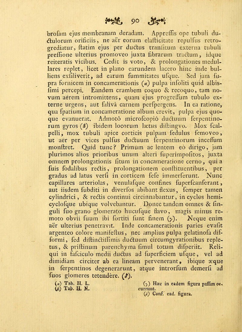 brofam ejus membranam deradam. Appreilis ope tiibiili du- dlulorum orificiis, ne aer eorum elallicitate repulfus rctro- grediatur, ftatim ejus per dudus tranfitum externa tubuli prellione ulterius promoveo juxta fibrarum traclum, idque reiteratis vicibus. Cedit is voto, & prolongationes medul- lares replet, licet in plano earundem lacero hinc inde bul- liens exiiliverit, ad earum fummitates ufque. Sed jam fu- pra fornicem in concamerationis (a) pulpa infoliti quid albis- limi percepi. Eandem crambem coquo & recoquo, tam no- vum aerem intromittens, quam ejus progrcfTum tubulo ex- terne urgens, aut faliva carnem perfpergens. In ea ratione, qua fpatium in concameratione album crevit, pulpa ejus quo- que evanuerat, Admoto microfcopio duduum ferpentino- rum gyros (I) ibidem locorum Isetus diftingvo. Mox fcal- pelli, mox tubuli apice corticis pulpam fedulus femoveo, ut aer per vices pulfus duduuni ferpentinorum incelfum monftret. Quid tunc ? Primum ac lentem eo dirigo, jam plurimos alios prioribus unum alteri fuperimpofitos, juxta omnem prolongationis fitum in concameratione cerno, qui a fuis fodalibus redis, prolongationem conftituentibus, per gradus ad latus verfi in corticem fefe immerferunt. Nunc eapillares arteriolas, venulafque confines fuperfcanferant, aut iisdem fubditi in diverfos abibant flexus, femper tamen cylindrici, & redis continui circinnabantur, in cyclos hemi- cyclofque ubique volvebantur. Donec tandem omnes & fin- guh fuo grano glomerato hucufque flavo, magis minus re- moto obvii fuum ibi fortiti lunt fineni (>). Neque enim aer ulterius penetravit. Inde concamerationis paries evafit argenteo colore manifeftus, nec amphus pulpa gelatinofa dif- formi, fed diftindiflimis duduum circumgyrationibus reple- tus, & priftinum parenchyma fimul totum difperiit. Reli- qui in fafciculo medii dudus ad fuperficiem ufque, vel ad dimidiam circiter ab ea hneam pervenerant, ibique seque in ferpentinos degenerarunt, atque introrfum demerfi ad fuos glomeres tetendere. (/). (ct) Tab. II. L. (y) Uxc in eadem figura paffim oe^ (^) Tab. H. N. curnint. (J) Conf. ead. figura.