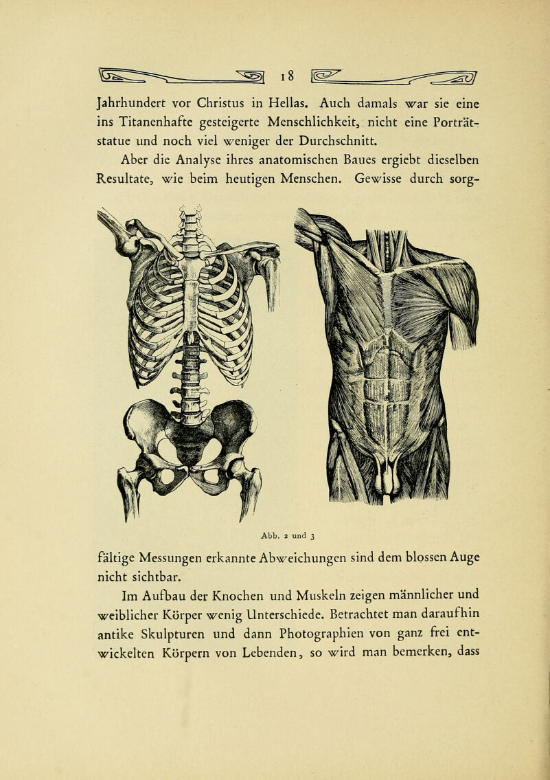 Jahrhundert vor Christus in Hellas. Auch damals war sie eine ins Titanenhafte gesteigerte Menschlichkeit, nicht eine Porträt- statue und noch viel weniger der Durchschnitt. Aber die Analyse ihres anatomischen Baues ergiebt dieselben Resultate, wie beim heutigen Menschen. Gewisse durch sorg- Abb. 2 und 3 fältige Messungen erkannte Abweichungen sind dem blossen Auge nicht sichtbar. Im Aufbau der Knochen und Muskeln zeigen männlicher und weiblicher Körper wenig Unterschiede. Betrachtet man daraufhin antike Skulpturen und dann Photographien von ganz frei ent- wickelten Körpern von Lebenden, so wird man bemerken, dass