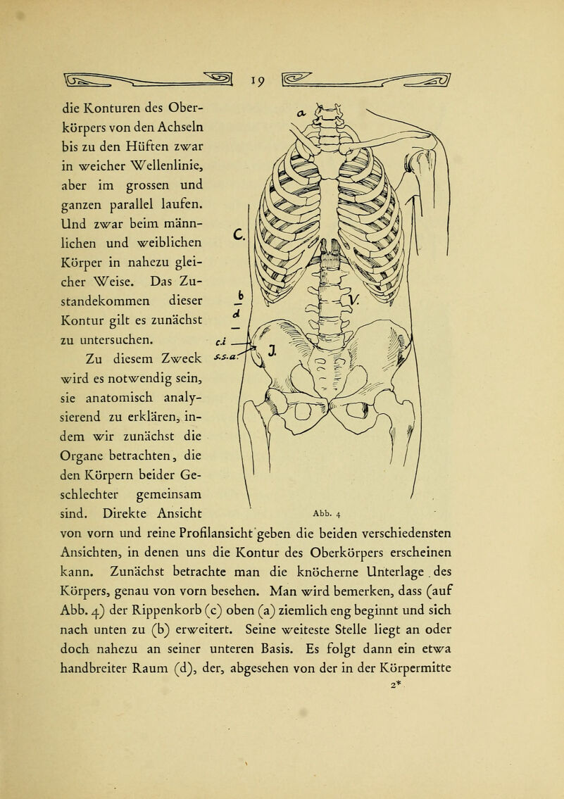 die Konturen des Ober- körpers von den Achseln bis zu den Hüften zwar in weicher Wellenlinie, aber im grossen und ganzen parallel laufen. Und zwar beim männ- lichen und weiblichen Körper in nahezu glei- cher Weise. Das Zu- standekommen dieser Kontur gilt es zunächst zu untersuchen. Zu diesem Zweck wird es notwendig sein, sie anatomisch analy- sierend zu erklären, in- dem wir zunächst die Organe betrachten, die den Körpern beider Ge- schlechter gemeinsam von vorn und reine Profilansicht geben die beiden verschiedensten Ansichten, in denen uns die Kontur des Oberkörpers erscheinen kann. Zunächst betrachte man die knöcherne Unterlage . des Körpers, genau von vorn besehen. Man wird bemerken, dass (auf Abb. ^) der Rippenkorb (c) oben (a) ziemlich eng beginnt und sich nach unten zu (b) erweitert. Seine weiteste Stelle liegt an oder doch nahezu an seiner unteren Basis. Es folgt dann ein etwa handbreiter Raum (d), der, abgesehen von der in der Körpermitte