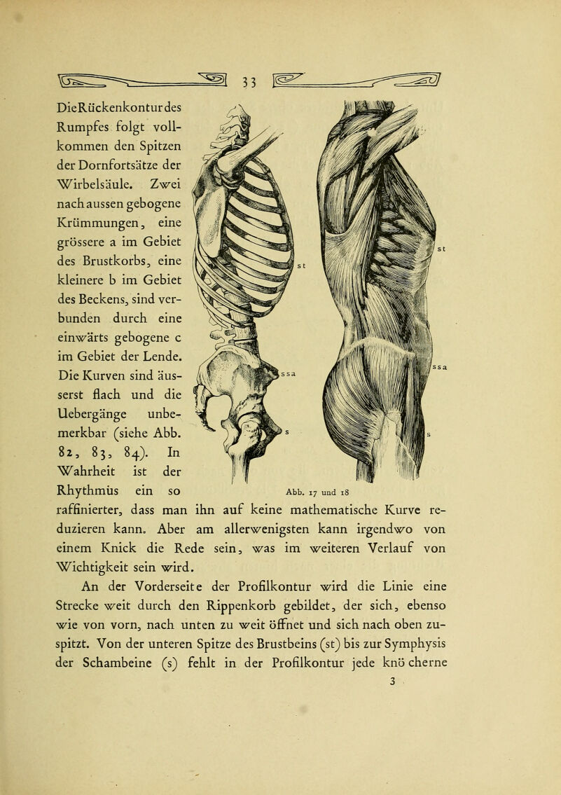 Die Rückenkontur des Rumpfes folgt voll- kommen den Spitzen der Dornfortsätze der Wirbelsäule. Zwei nach aussen gebogene Krümmungen, eine grössere a im Gebiet des Brustkorbs, eine kleinere b im Gebiet des Beckens, sind ver- bunden durch eine einwärts gebogene c im Gebiet der Lende. Die Kurven sind äus- serst flach und die Uebergänge unbe- merkbar (siehe Abb. 82, 83, 84). In Wahrheit ist der Rhythmus ein so Abb. ^^ und 18 raffinierter, dass man ihn auf keine mathematische Kurve re- duzieren kanuo Aber am allerwenigsten kann irgendwo von einem Knick die Rede sein, was im weiteren Verlauf von Wichtigkeit sein wird. An der Vorderseite der Profilkontur wird die Linie eine Strecke NSf^eit durch den Rippenkorb gebildet, der sich, ebenso wie von vorn, nach unten zu weit öflFnet und sich nach oben zu- spitzt. Von der unteren Spitze des Brustbeins (st) bis zur Symphysis der Schambeine (s) fehlt in der Profilkontur jede knö eherne 3