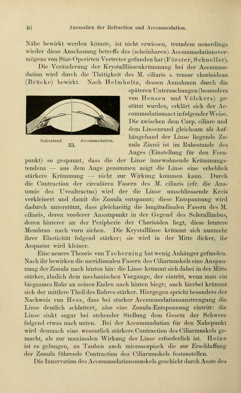 Ruhestand 33. Accommodation. Nähe bewirkt werden könnte, ist nicht erwiesen, trotzdem neuerdings wieder diese Anschauung betreffs des (scheinbaren) Aecommodationsver- mügens von Star-Operirten Vertreter gefunden hat (Förster, Schneller). Die Veränderung der Krystalllinsenkrümmung hei der Aceomnio- dation wird durch die Thätigkeit des M. eiliaris s. tensor ehorioideae (Brücke) bewirkt. Nach Helmholtz, dessen Annahmen durch die späteren Untersuchungen (besonders von Hensen und Völckers) ge- stützt wurden, erklärt sich der Ac- commodationsact infolgender Weise. Die zwischen dem Corp. ciliare und dem Linsenrand gleichsam als Auf- hängeband der Linse liegende Zo- nula Zinnii ist im Ruhestande des Auges (Einstellung für den Fern- punkt) so gespannt, dass die der Linse innewohnende Krümmungs- tendenz — aus dem Auge genommen zeigt die Linse eine erheblich stärkere Krümmung — nicht zur Wirkung kommen kann. Durch die Contraction der circulären Fasern des M. eiliaris (cfr. die Ana- tomie des Uvealtractus) wird der die Linse umschliessende Kreis verkleinert und damit die Zonula entspannt; diese Entspannung wird dadurch unterstützt, dass gleichzeitig die longitudinalen Fasern des M. eiliaris, deren vorderer Ansatzpunkt in der Gegend des Sclerallimbus, deren hinterer an der Peripherie der Chorioidea liegt, diese letztere Membran nach vorn ziehen. Die Krystalllinse krümmt sich nunmehr ihrer Elasticität folgend stärker; sie wird in der Mitte dicker, ihr Aequator wird kleiner. Eine neuere Theorie von T scherning hat wenig Anhänger gefunden. Nach ihr bewirken die meridionalen Fasern des Ciliarmuskels eine Anspan- nung der Zonula nach hinten hin: die Linse krümmt sich dabei in der Mitte stärker, ähnlich dem mechanischen Vorgange, der eintritt, wenn man ein biegsames Rohr an seinen Enden nach hinten biegt; auch hierbei krümmt sich der mittlere Theil des Rohres stärker. Hiergegen spricht besonders der Nachweis von Hess, dass bei starker Accommodationsanstrengung die Linse deutlich schlottert, also eine Zonula-Eiitspannung eintritt: die Linse sinkt sogar bei stehender Stellung dem Gesetz der Schwere folgend etwas nach unten. Bei der Aceomniodation für den Nahepunkt wird demnach eine wesentlich stärkere Contraction des Ciliarmuskels ge- macht, als zur maximalen Wirkung der Linse erforderlich ist. Heine ist es gelungen, an Tauben auch microscopisch die zur Erschlaffung der Zonula führende Contraction des Ciliarmuskels festzustellen. Die Innervation des Accommodationsmuskels geschieht durch Aeste des